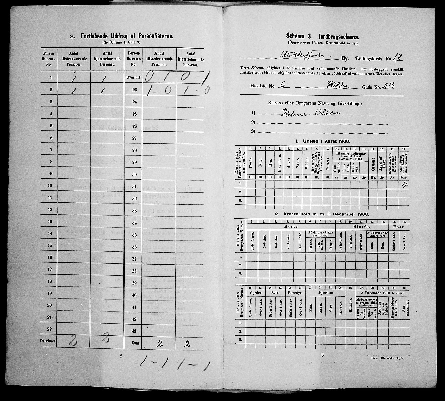 SAK, Folketelling 1900 for 1004 Flekkefjord kjøpstad, 1900, s. 203