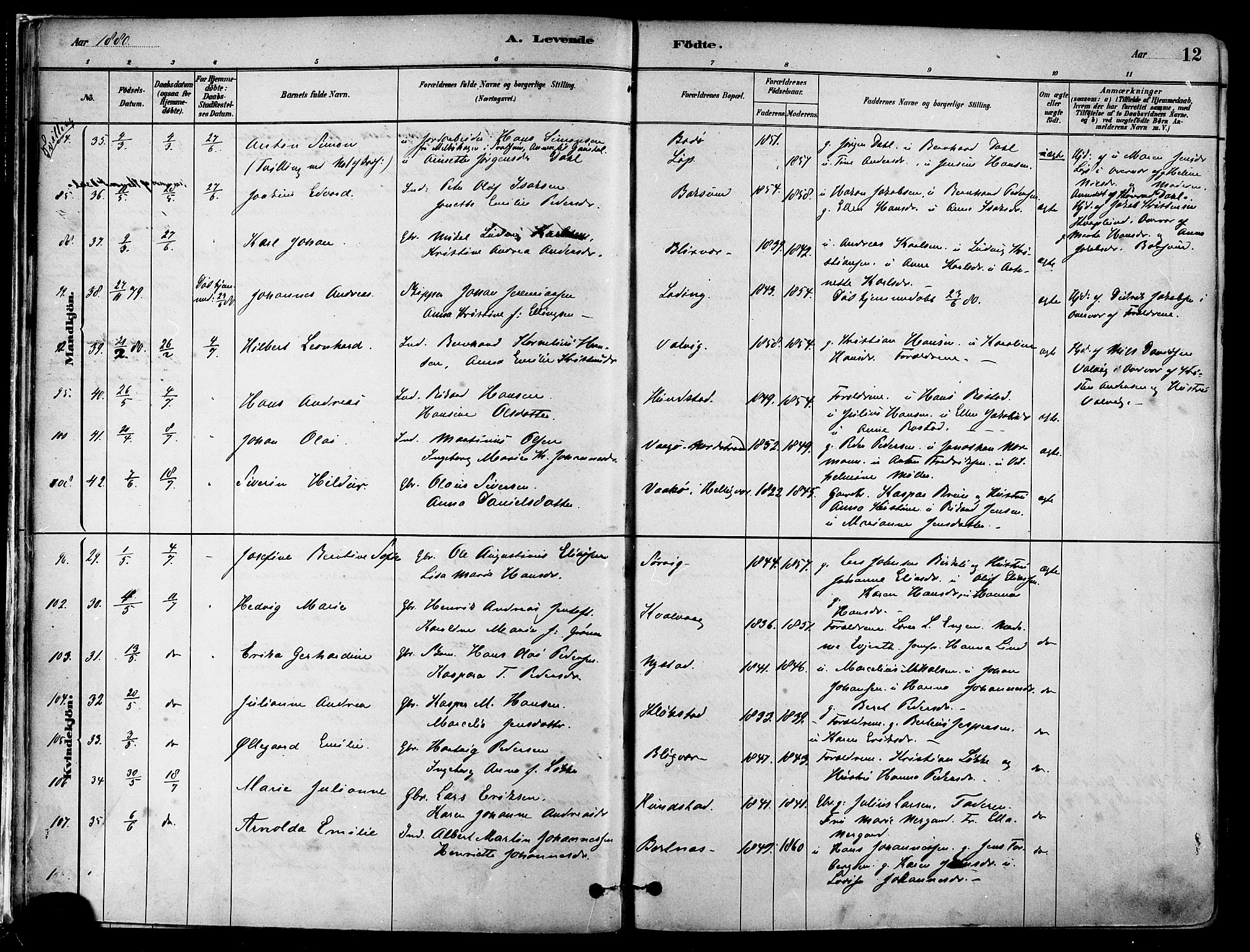 Ministerialprotokoller, klokkerbøker og fødselsregistre - Nordland, AV/SAT-A-1459/802/L0054: Ministerialbok nr. 802A01, 1879-1893, s. 12