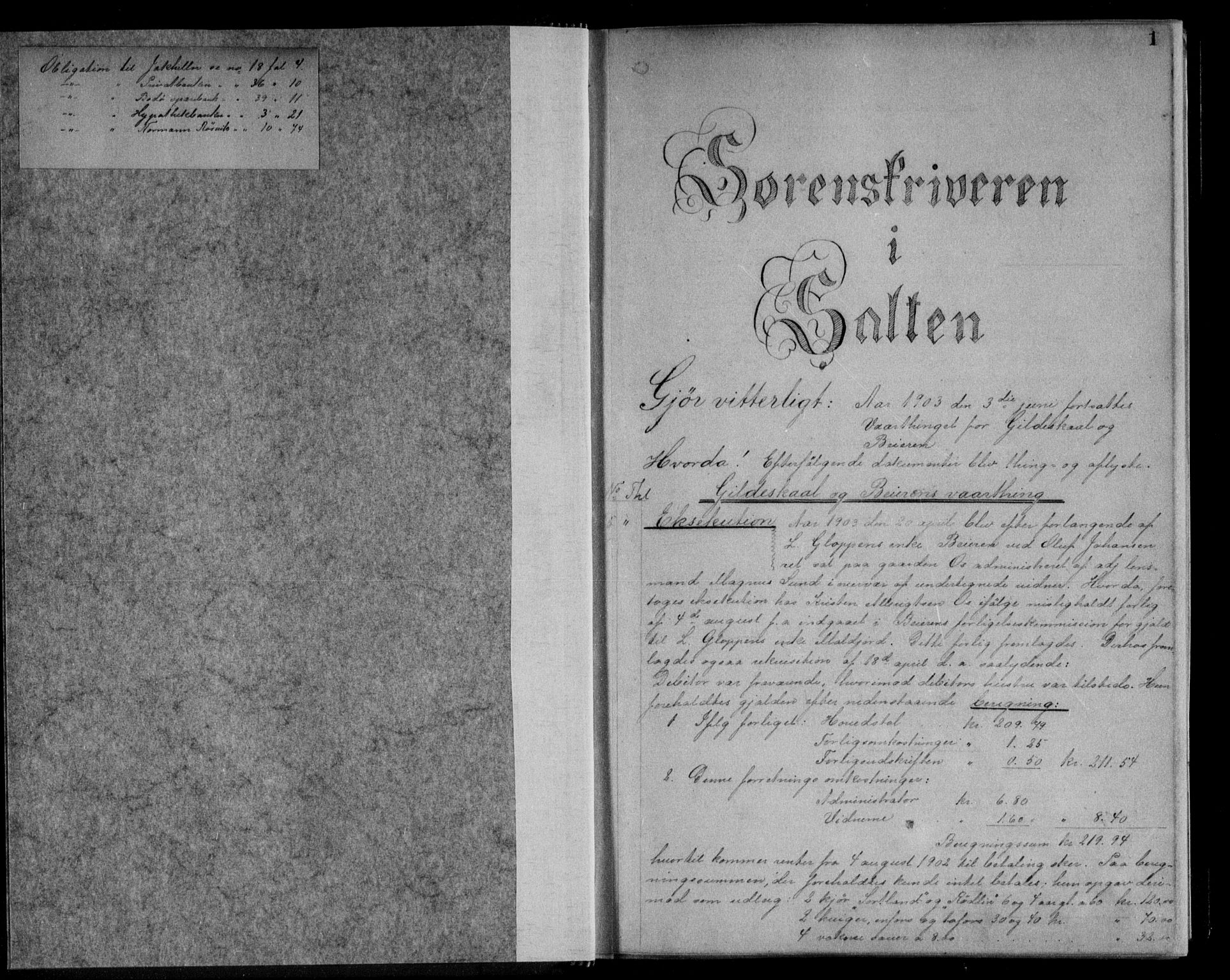 Salten sorenskriveri, SAT/A-4578/1/2/2C/L0034: Pantebok nr. AbI, 1903-1904, s. 1