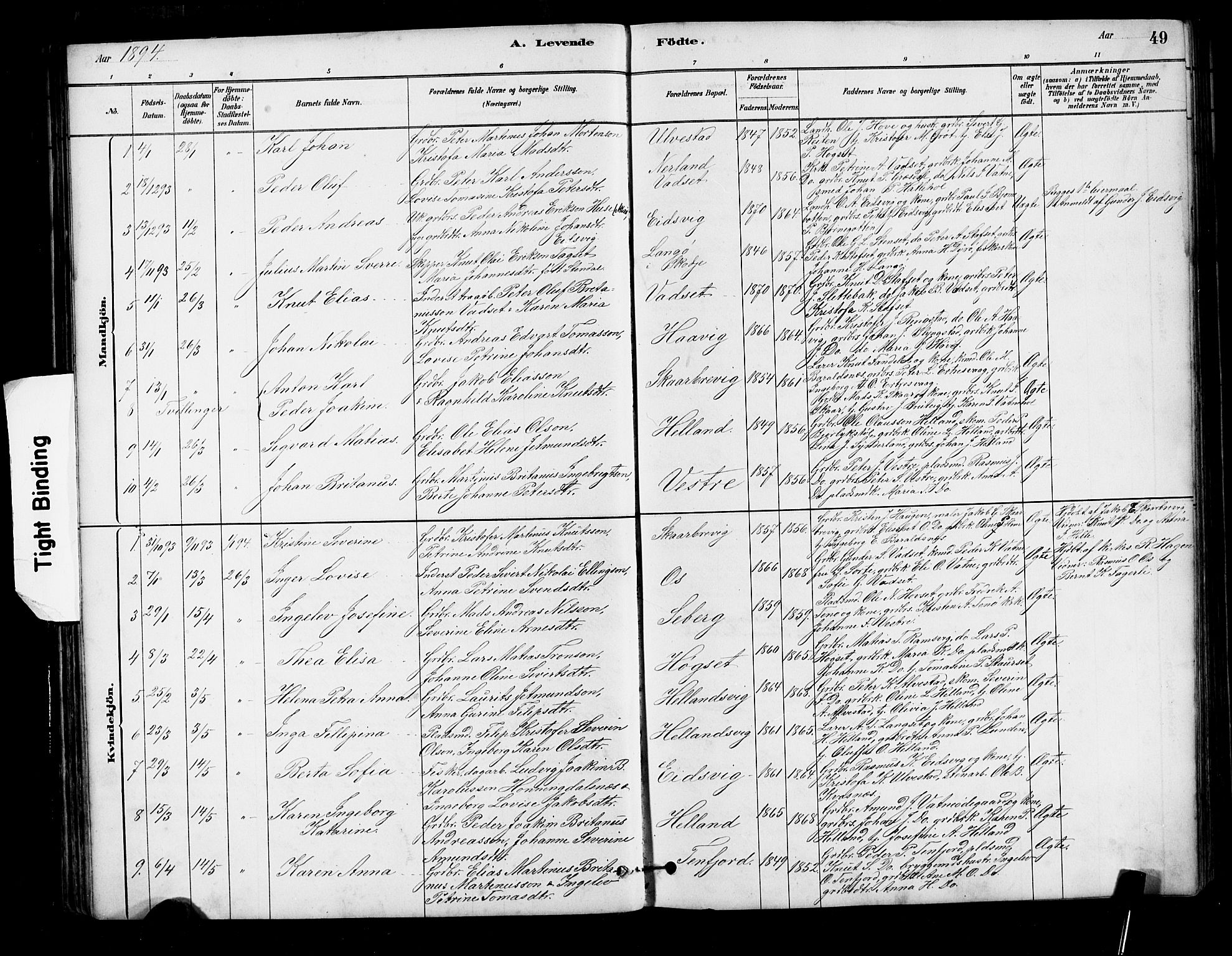 Ministerialprotokoller, klokkerbøker og fødselsregistre - Møre og Romsdal, AV/SAT-A-1454/525/L0376: Klokkerbok nr. 525C02, 1880-1902, s. 49