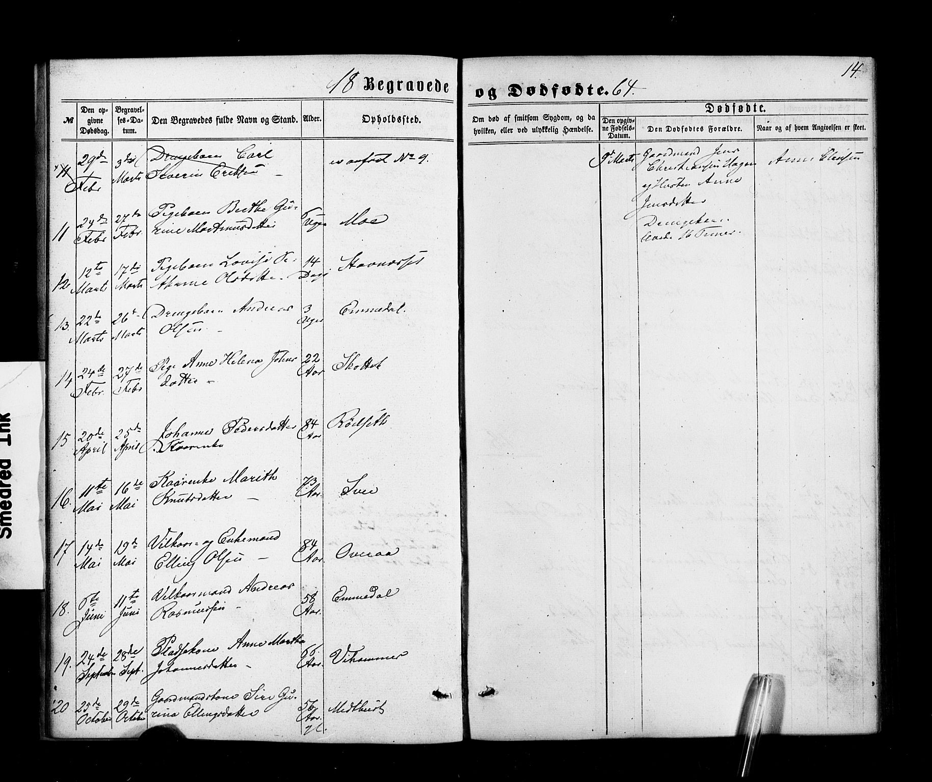 Ministerialprotokoller, klokkerbøker og fødselsregistre - Møre og Romsdal, AV/SAT-A-1454/520/L0282: Ministerialbok nr. 520A11, 1862-1881, s. 14