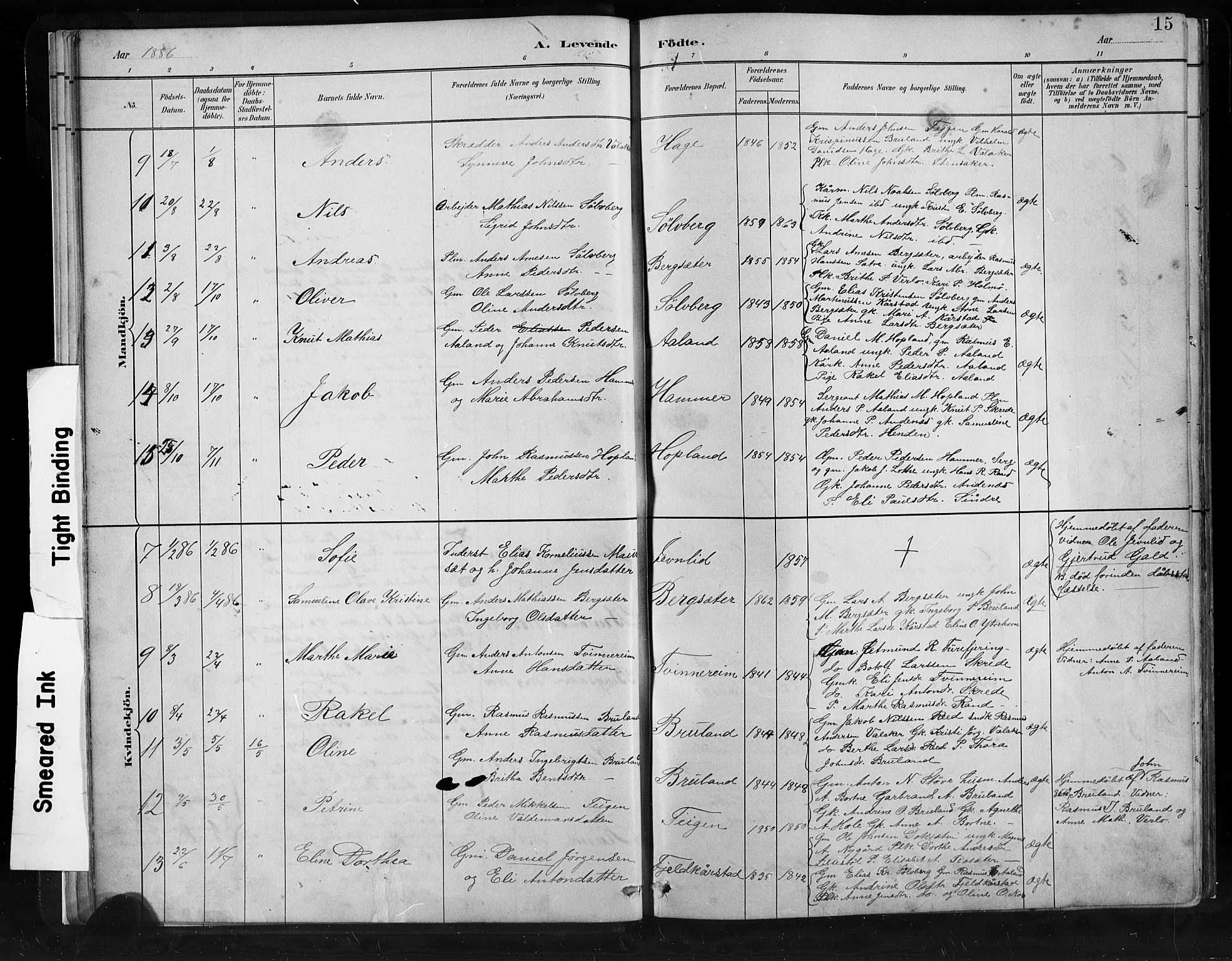 Innvik sokneprestembete, AV/SAB-A-80501: Klokkerbok nr. C 3, 1883-1911, s. 15