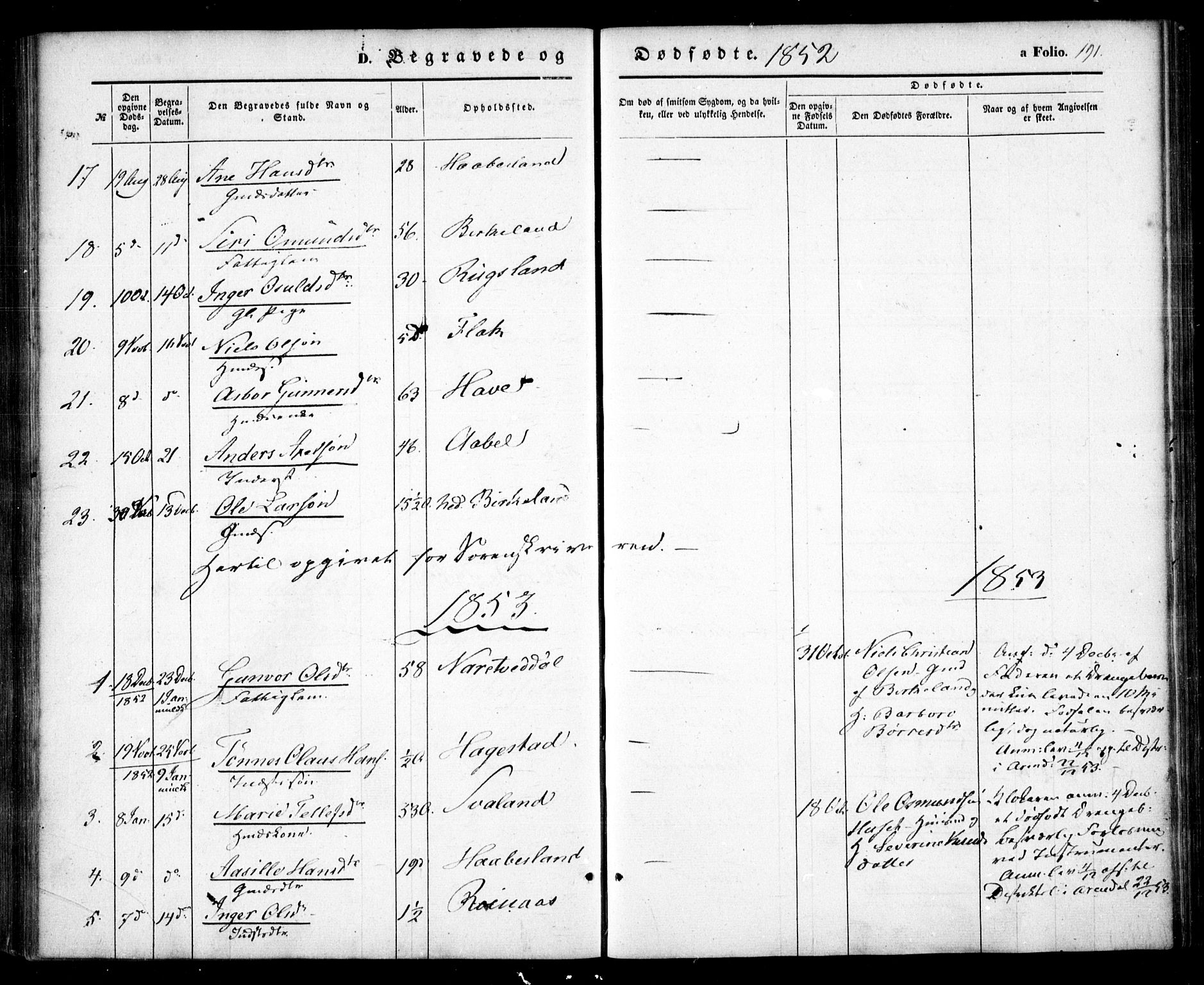 Birkenes sokneprestkontor, SAK/1111-0004/F/Fa/L0003: Ministerialbok nr. A 3, 1850-1866, s. 191
