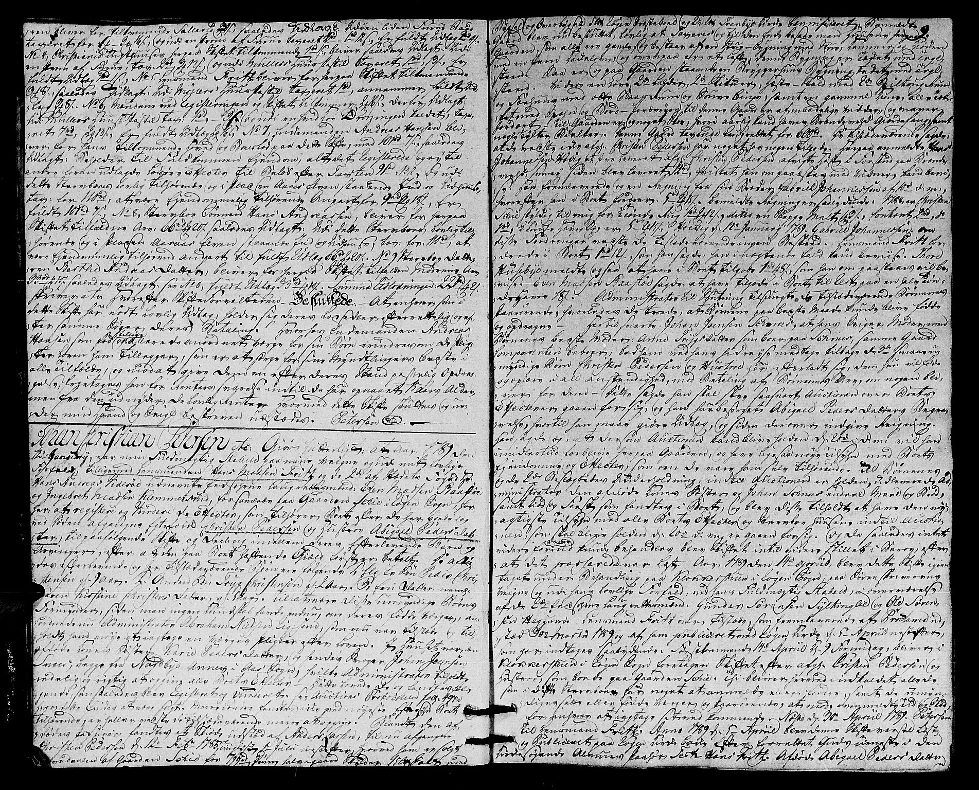 Lier, Røyken og Hurum sorenskriveri, SAKO/A-89/H/Hc/L0007a: Skifteprotokoll, 1789-1799, s. 8b-9a