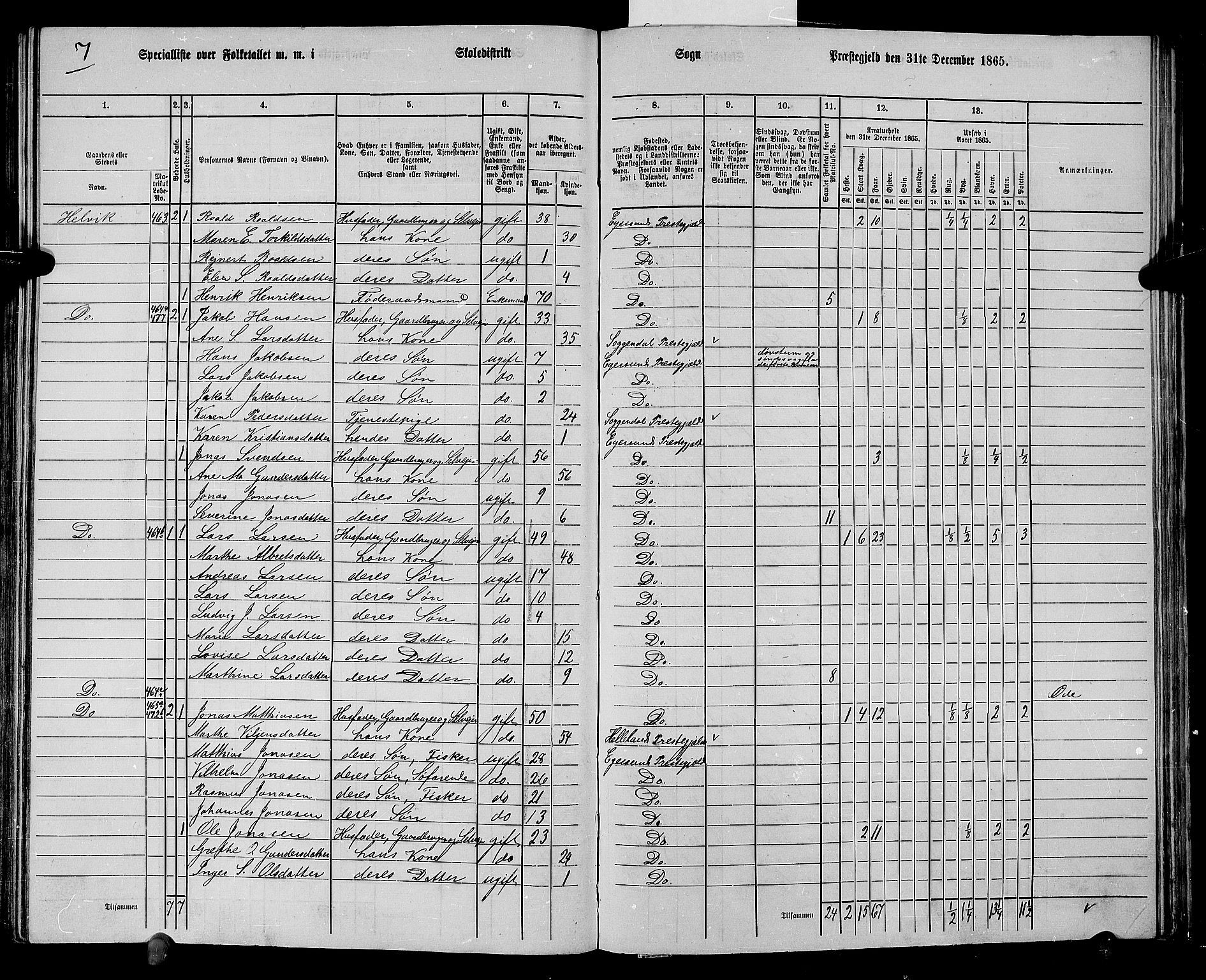 RA, Folketelling 1865 for 1116L Eigersund prestegjeld, Eigersund landsokn og Ogna sokn, 1865, s. 120