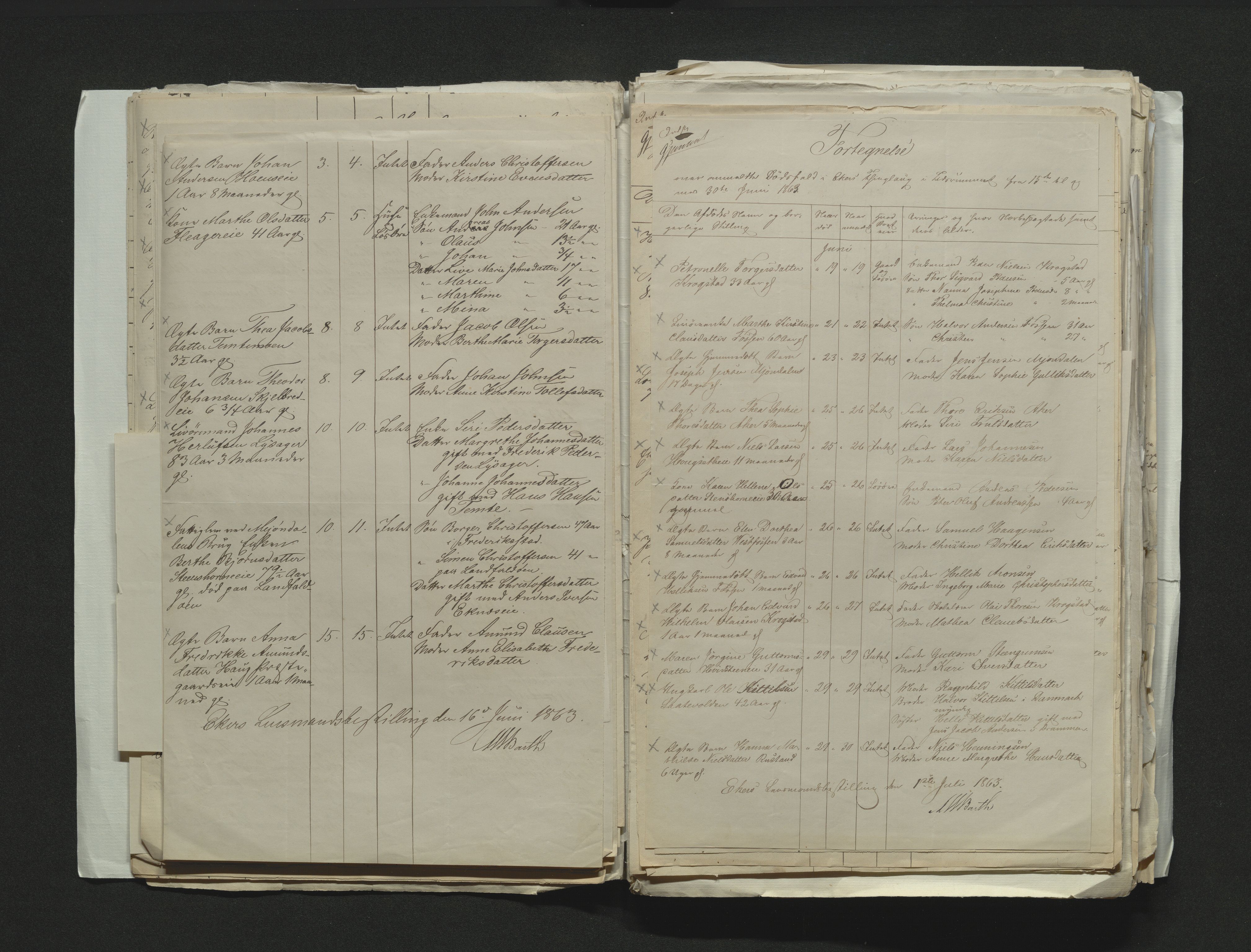 Eiker, Modum og Sigdal sorenskriveri, AV/SAKO-A-123/H/Ha/Hab/L0011: Dødsfallsmeldinger, 1862-1865, s. 198