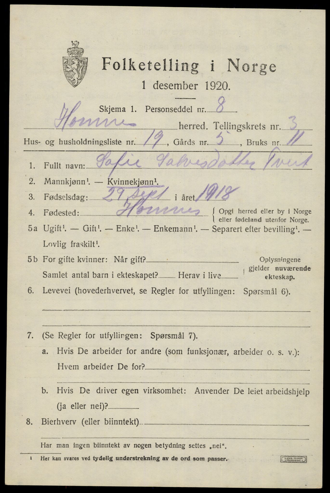 SAK, Folketelling 1920 for 0936 Hornnes herred, 1920, s. 1035