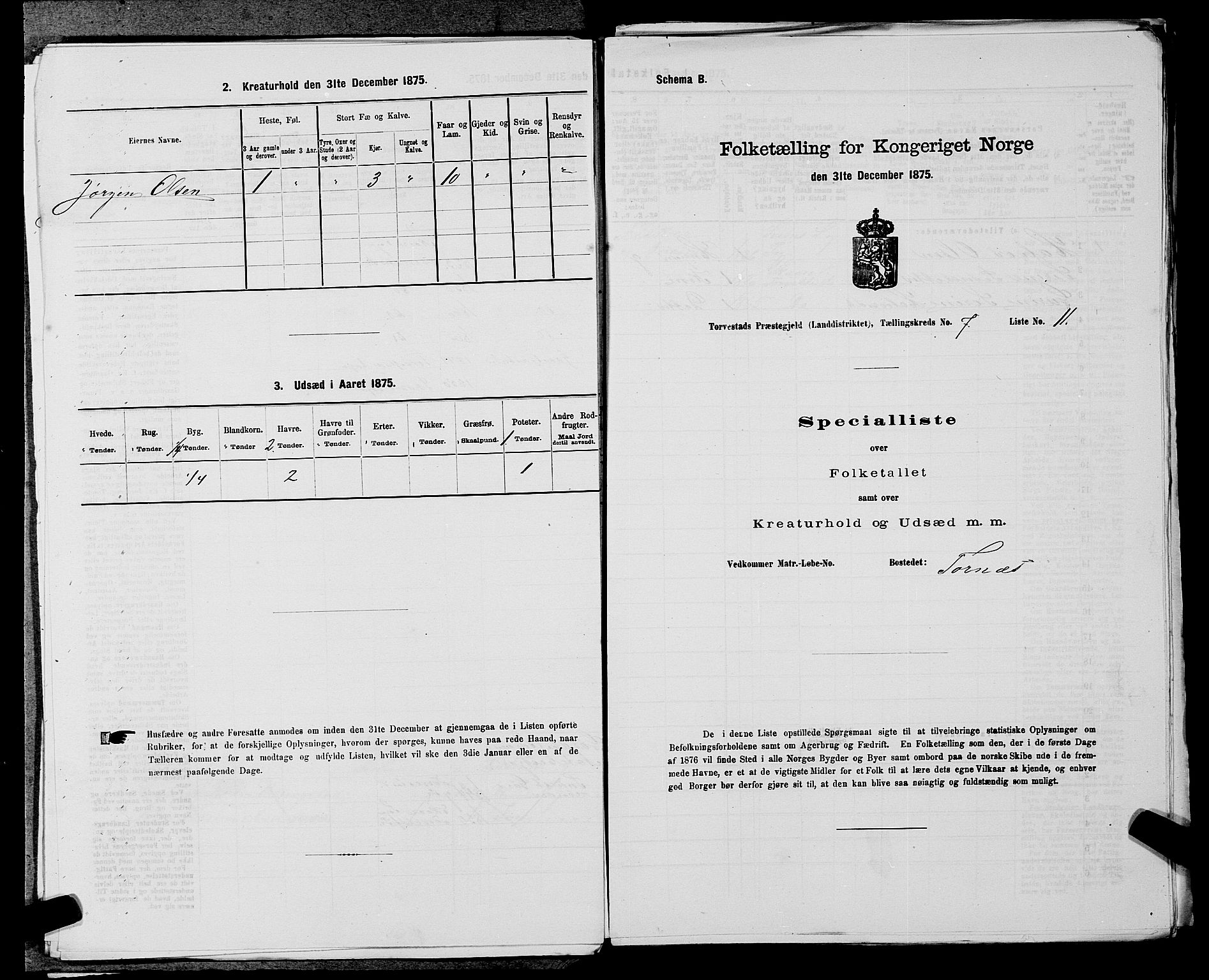 SAST, Folketelling 1875 for 1152L Torvastad prestegjeld, Torvastad sokn, Skåre sokn og Utsira sokn, 1875, s. 917