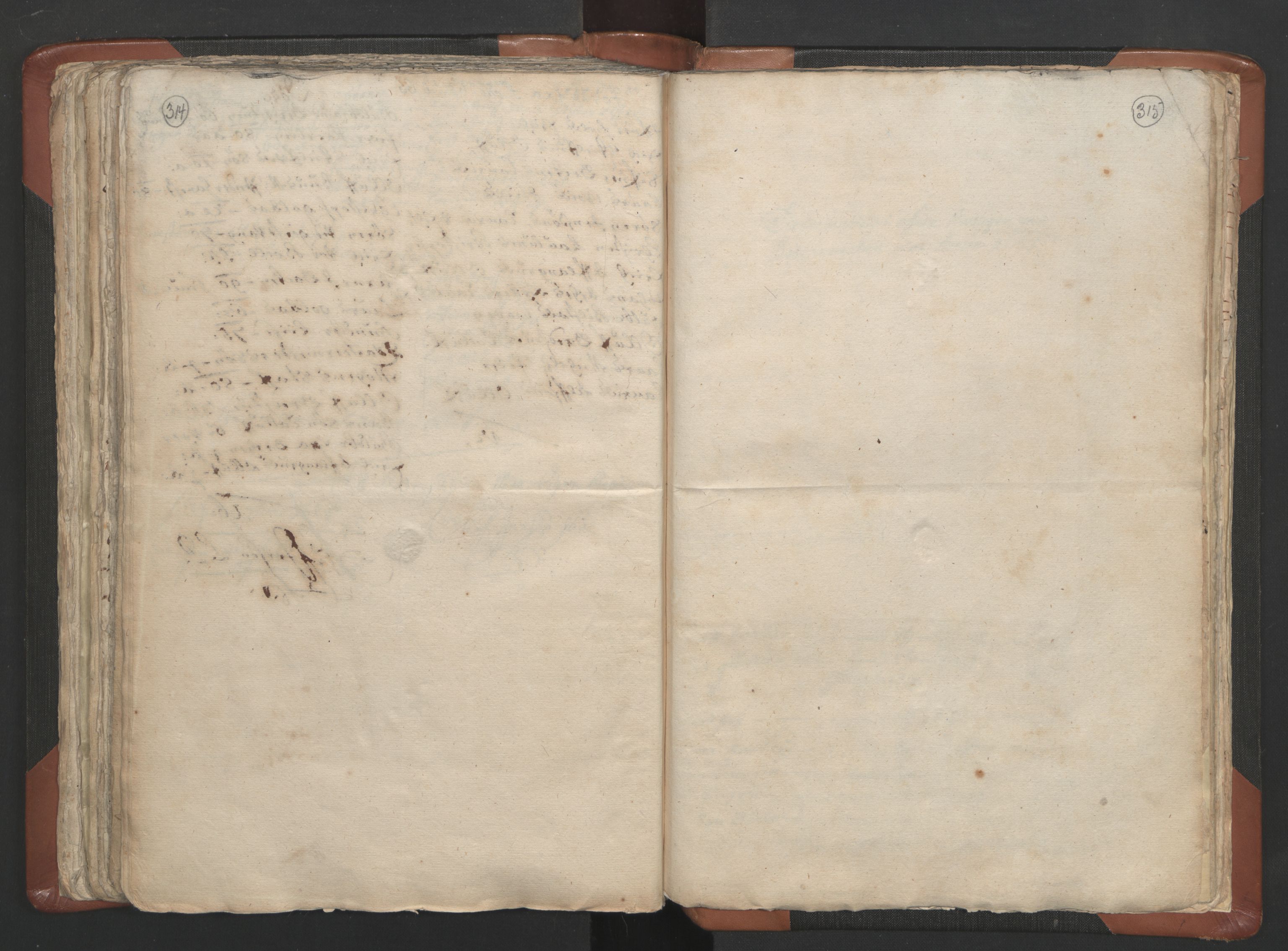 RA, Sogneprestenes manntall 1664-1666, nr. 5: Hedmark prosti, 1664-1666, s. 314-315