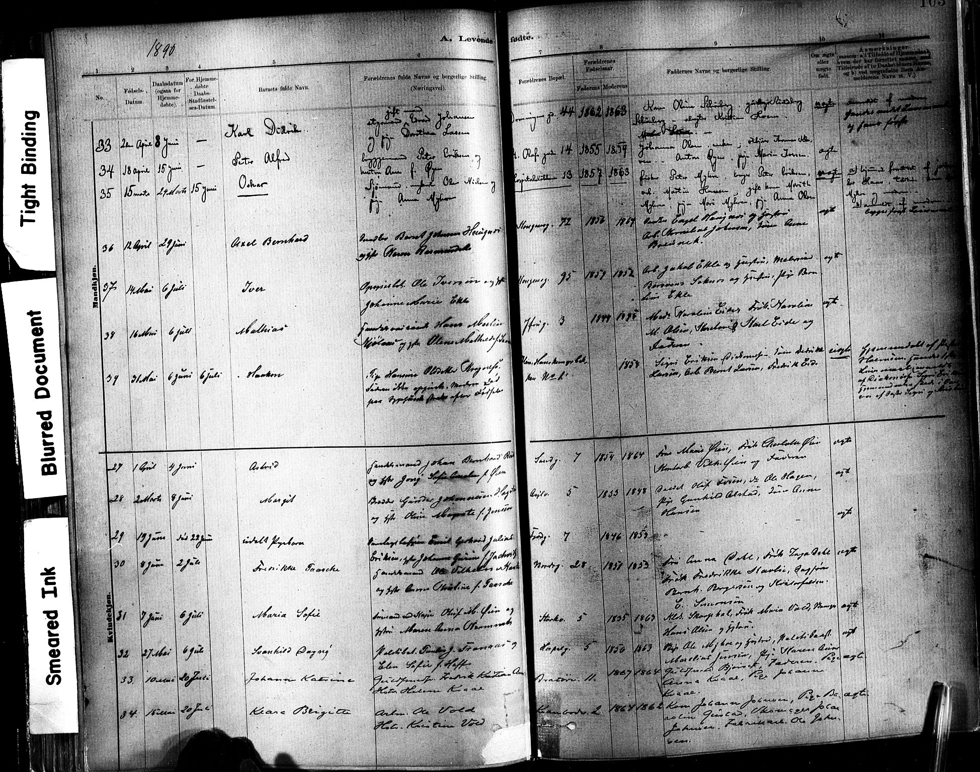 Ministerialprotokoller, klokkerbøker og fødselsregistre - Sør-Trøndelag, SAT/A-1456/602/L0119: Ministerialbok nr. 602A17, 1880-1901, s. 103