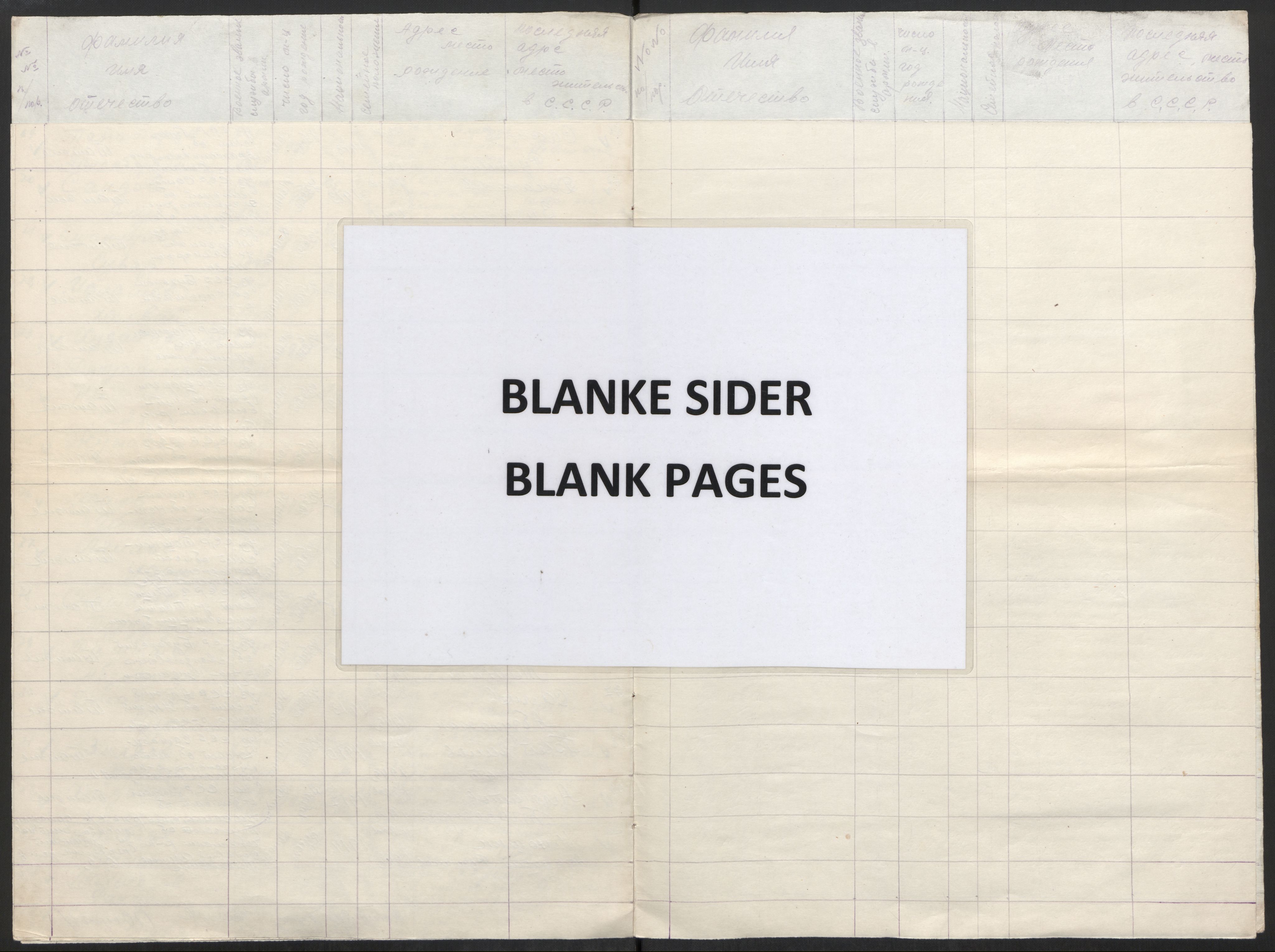 Flyktnings- og fangedirektoratet, Repatrieringskontoret, RA/S-1681/D/Db/L0016: Displaced Persons (DPs) og sivile tyskere, 1945-1948, s. 1139