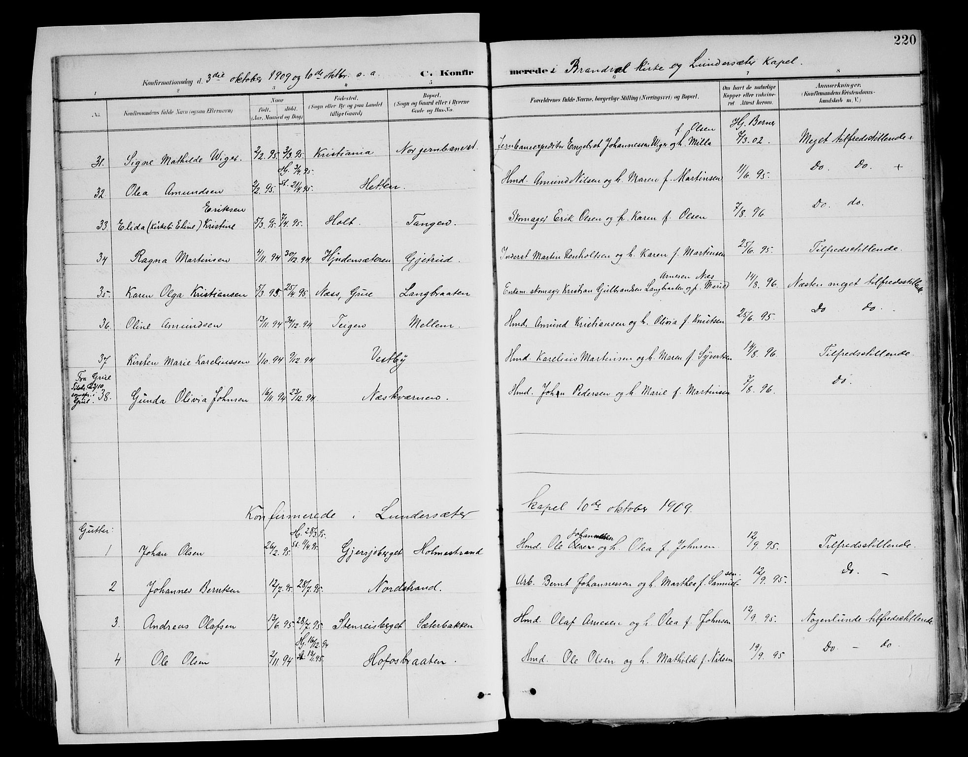 Brandval prestekontor, AV/SAH-PREST-034/H/Ha/Haa/L0003: Ministerialbok nr. 3, 1894-1909, s. 220