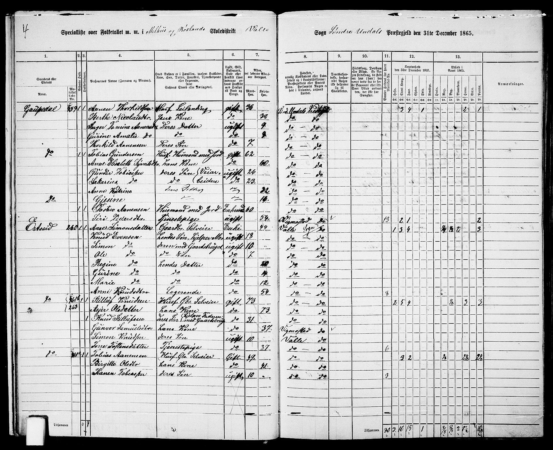 RA, Folketelling 1865 for 1029P Sør-Audnedal prestegjeld, 1865, s. 20