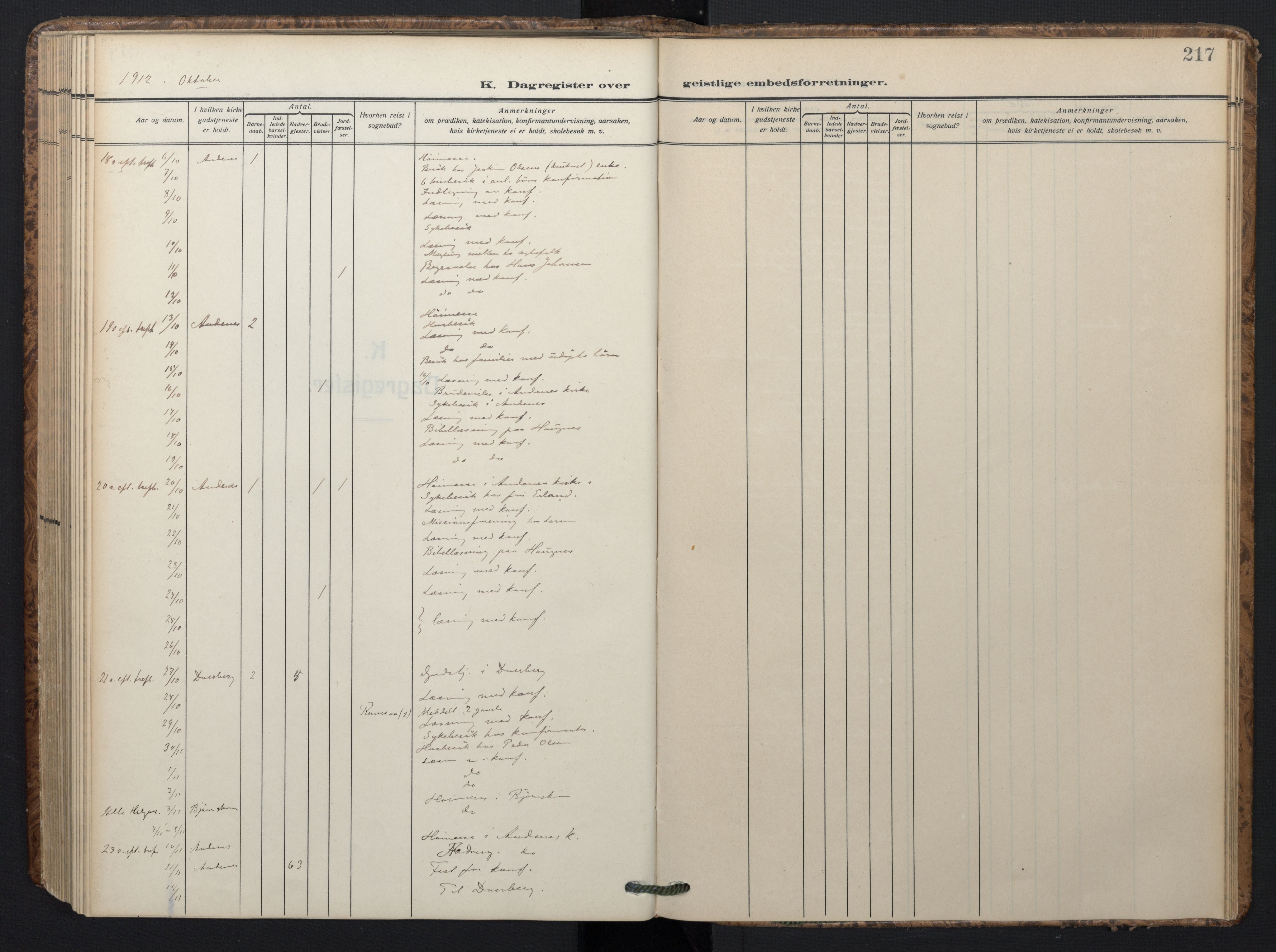 Ministerialprotokoller, klokkerbøker og fødselsregistre - Nordland, AV/SAT-A-1459/899/L1438: Ministerialbok nr. 899A06, 1909-1922, s. 217