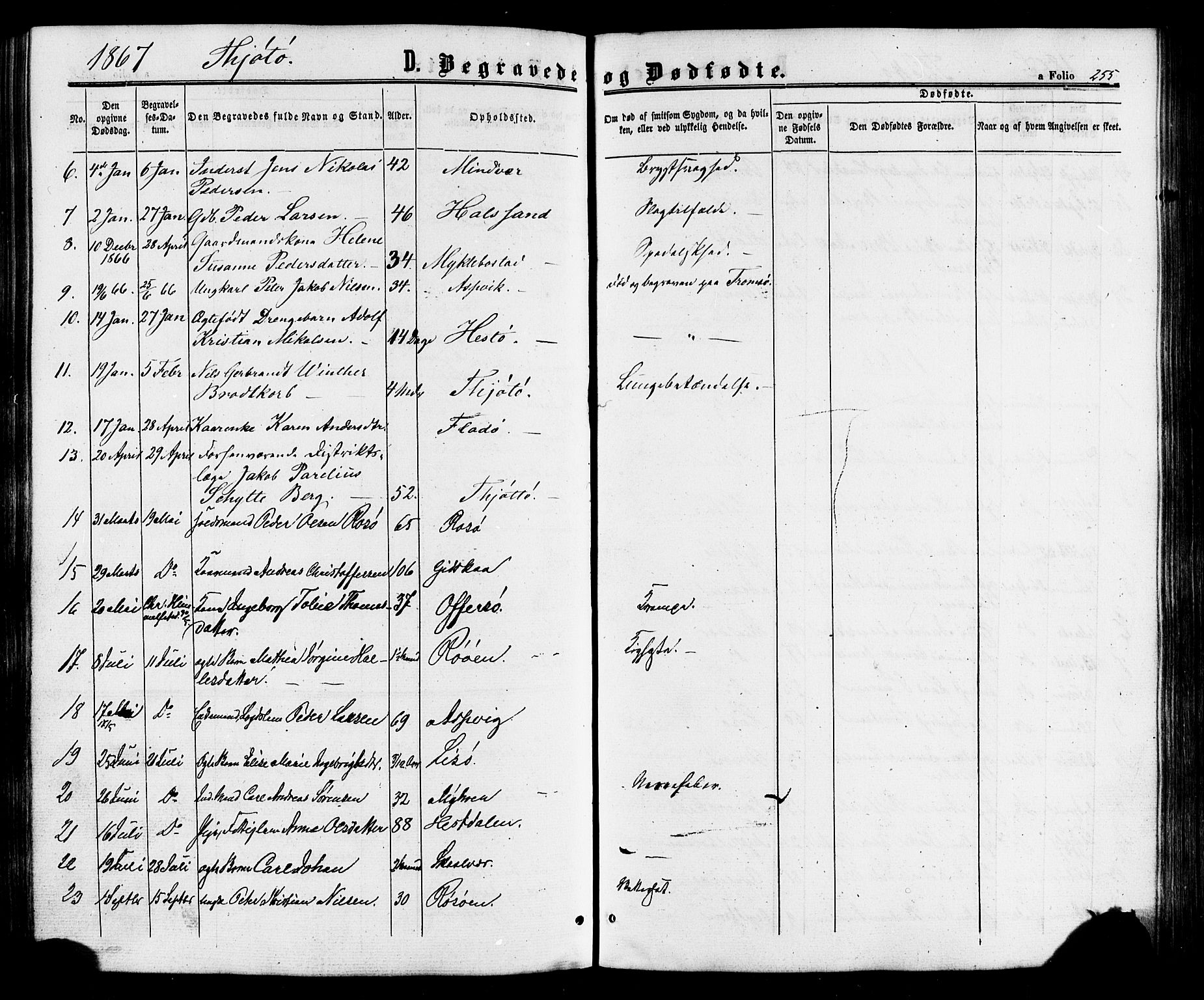 Ministerialprotokoller, klokkerbøker og fødselsregistre - Nordland, SAT/A-1459/817/L0262: Ministerialbok nr. 817A03/ 1, 1862-1877, s. 255