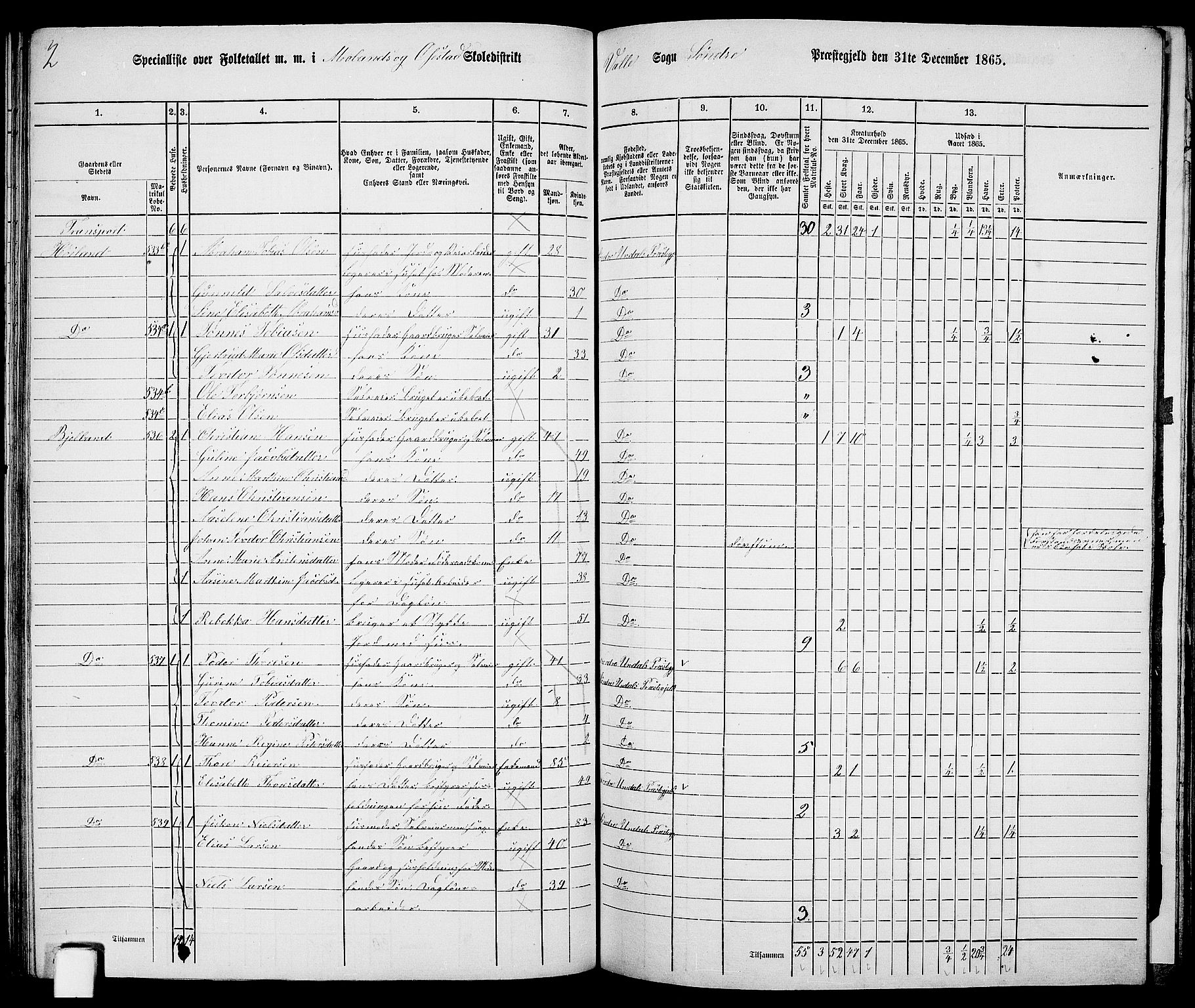 RA, Folketelling 1865 for 1029P Sør-Audnedal prestegjeld, 1865, s. 116