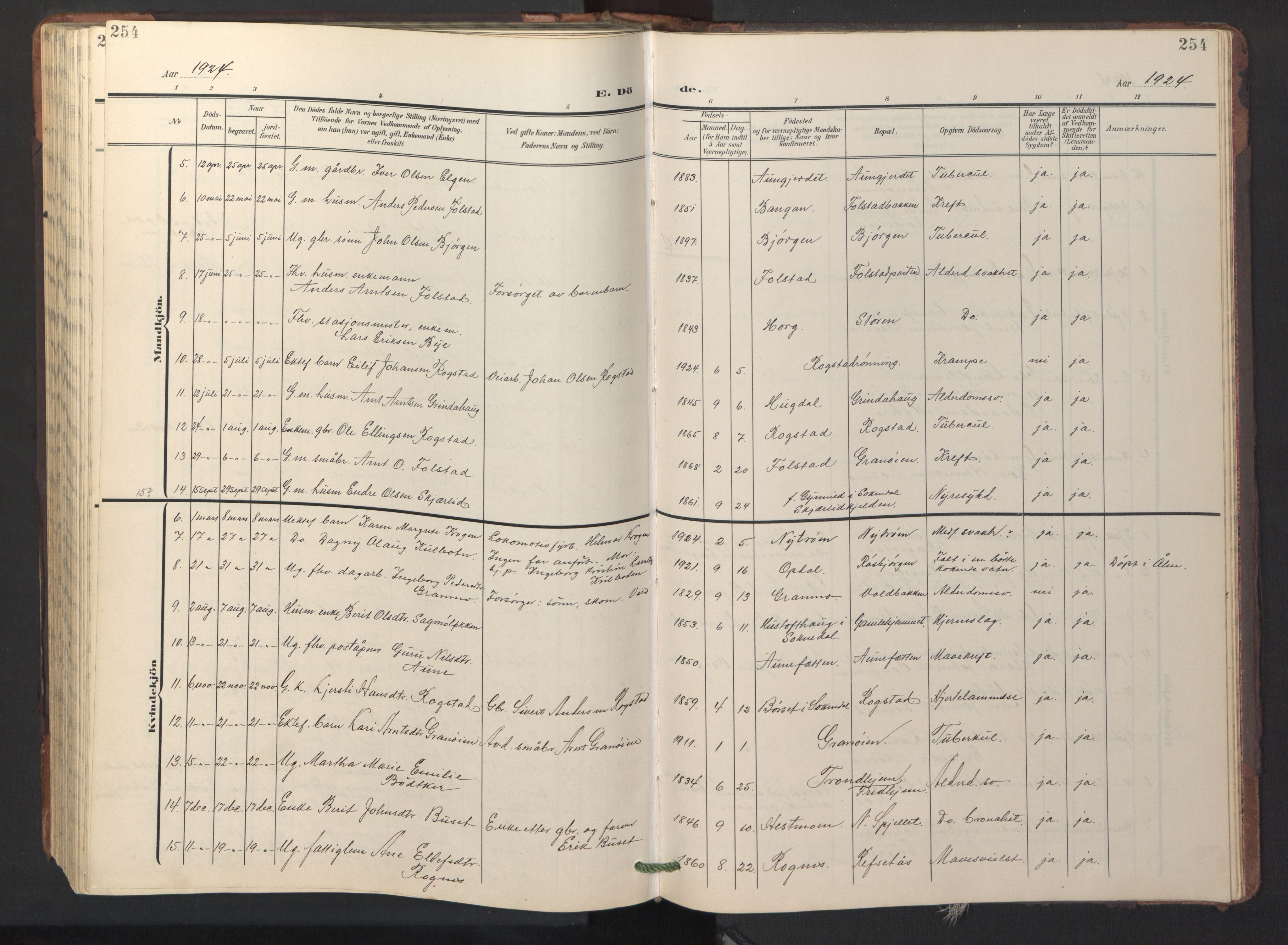Ministerialprotokoller, klokkerbøker og fødselsregistre - Sør-Trøndelag, AV/SAT-A-1456/687/L1019: Klokkerbok nr. 687C03, 1904-1931, s. 254