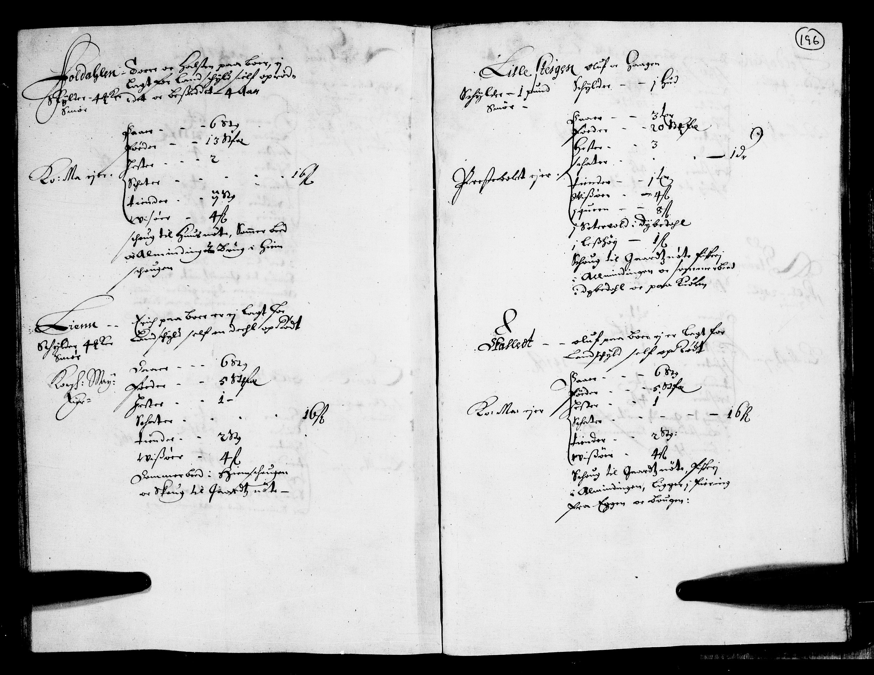 Rentekammeret inntil 1814, Realistisk ordnet avdeling, RA/EA-4070/N/Nb/Nba/L0011: Odal, Solør og Østerdalen fogderi, 1667, s. 195b-196a