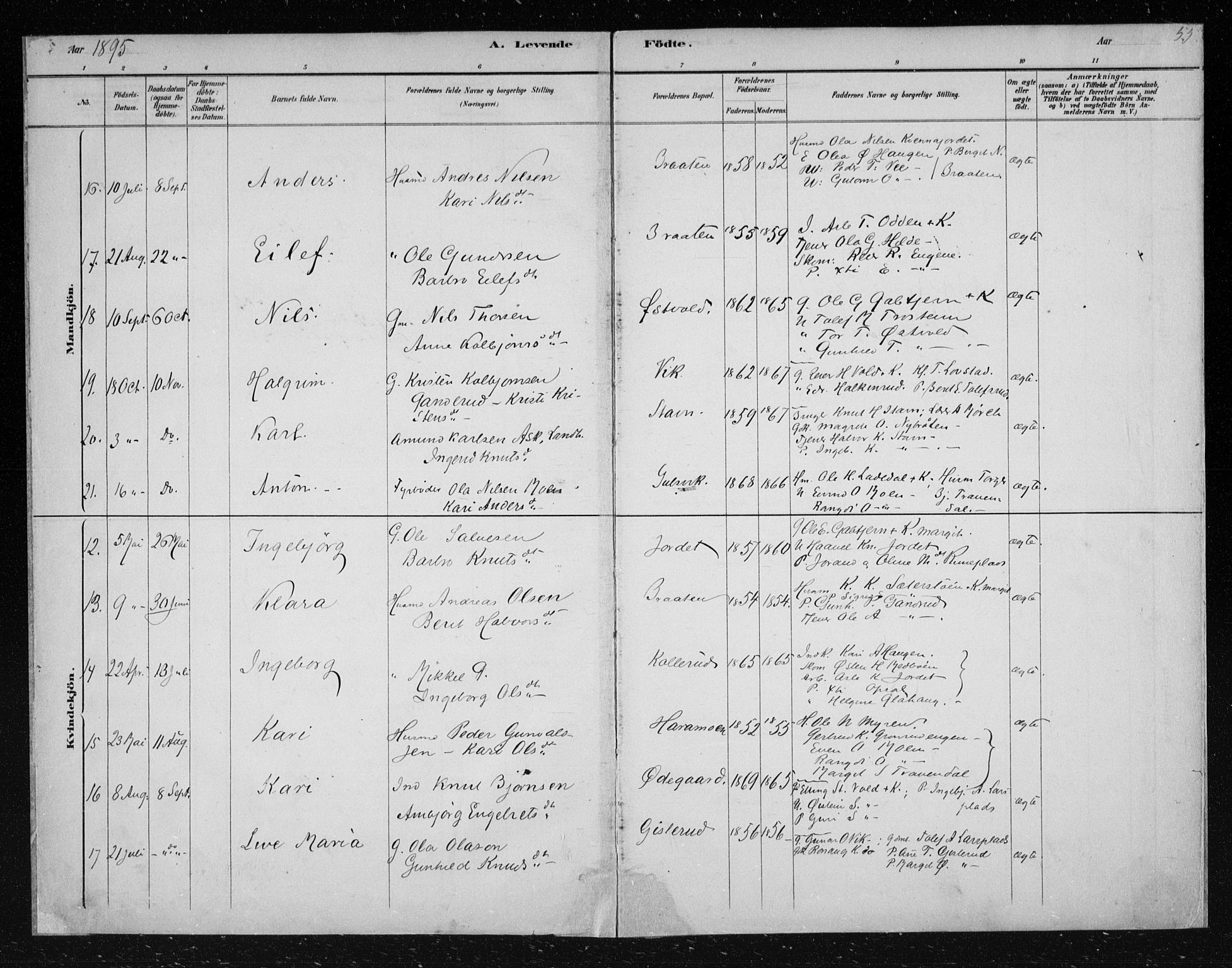 Nes kirkebøker, AV/SAKO-A-236/F/Fa/L0012: Ministerialbok nr. 12, 1881-1917, s. 55
