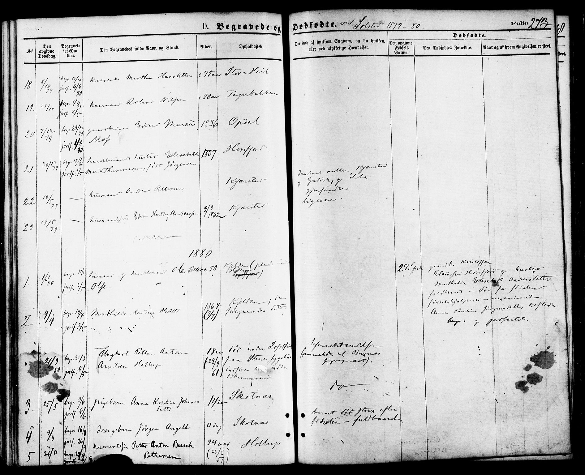 Ministerialprotokoller, klokkerbøker og fødselsregistre - Nordland, AV/SAT-A-1459/810/L0149: Ministerialbok nr. 810A09 /2, 1874-1884, s. 273