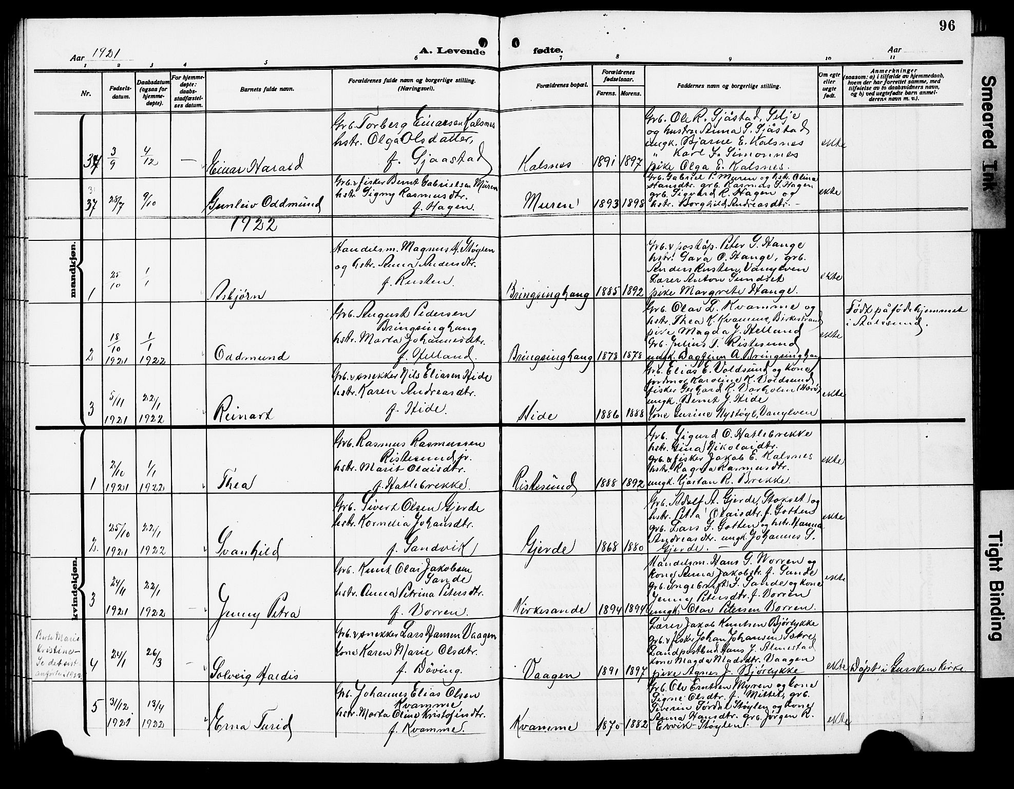 Ministerialprotokoller, klokkerbøker og fødselsregistre - Møre og Romsdal, AV/SAT-A-1454/503/L0050: Klokkerbok nr. 503C05, 1909-1922, s. 96