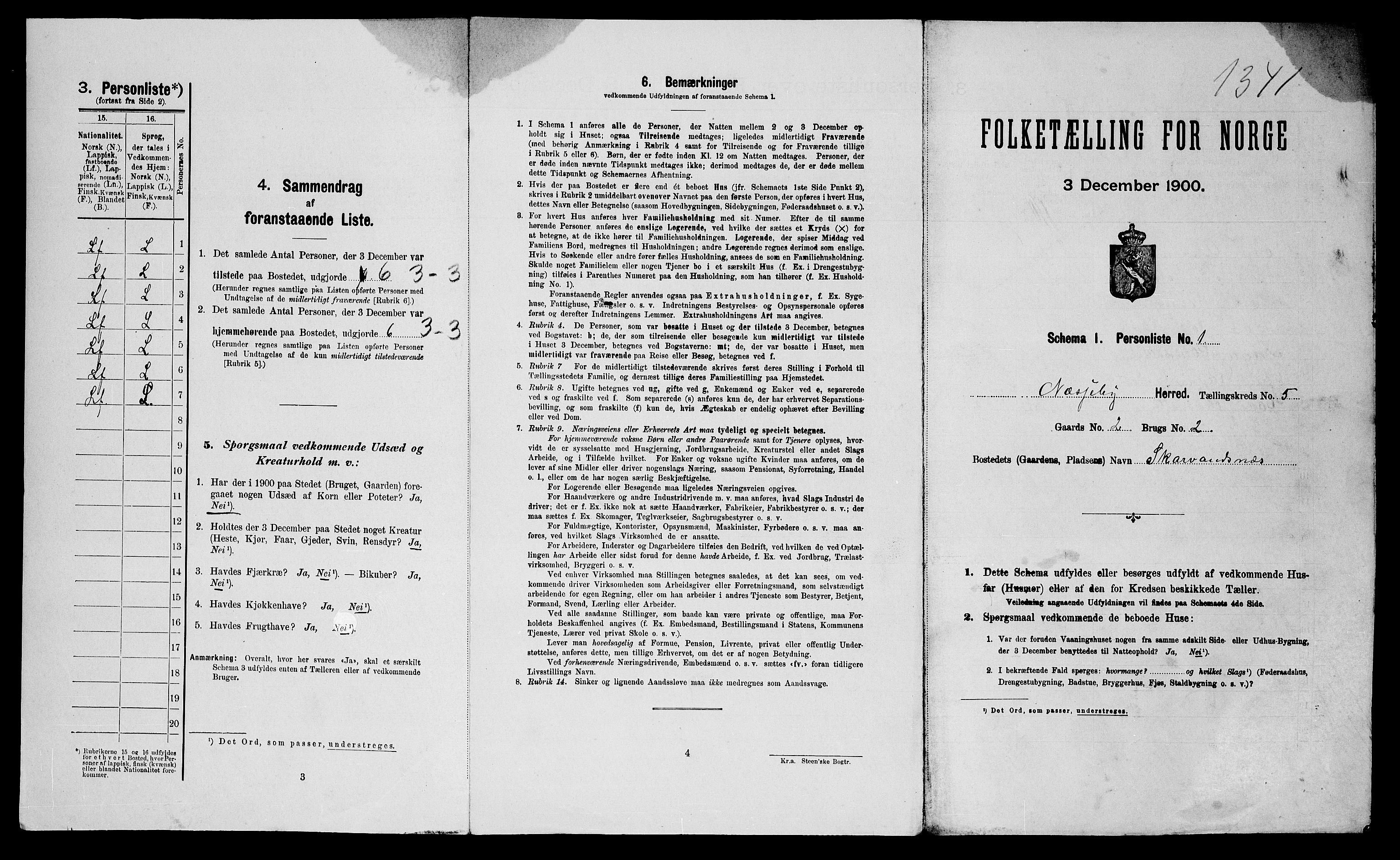 SATØ, Folketelling 1900 for 2027 Nesseby herred, 1900, s. 413