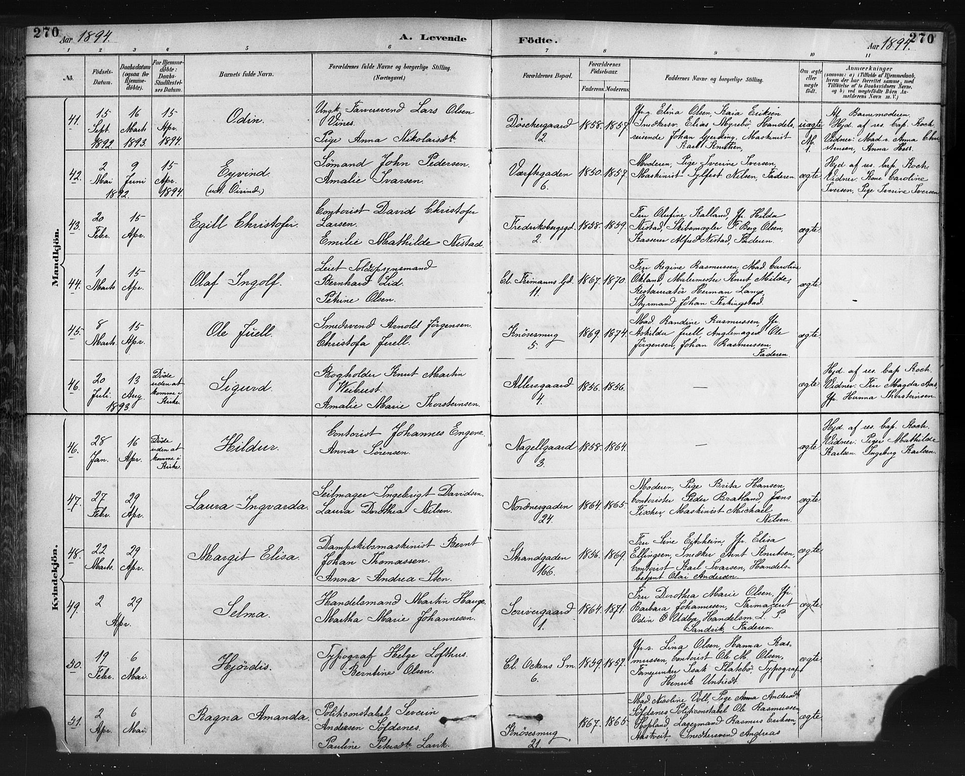Nykirken Sokneprestembete, AV/SAB-A-77101/H/Haa: Ministerialbok nr. B 5, 1885-1894, s. 270