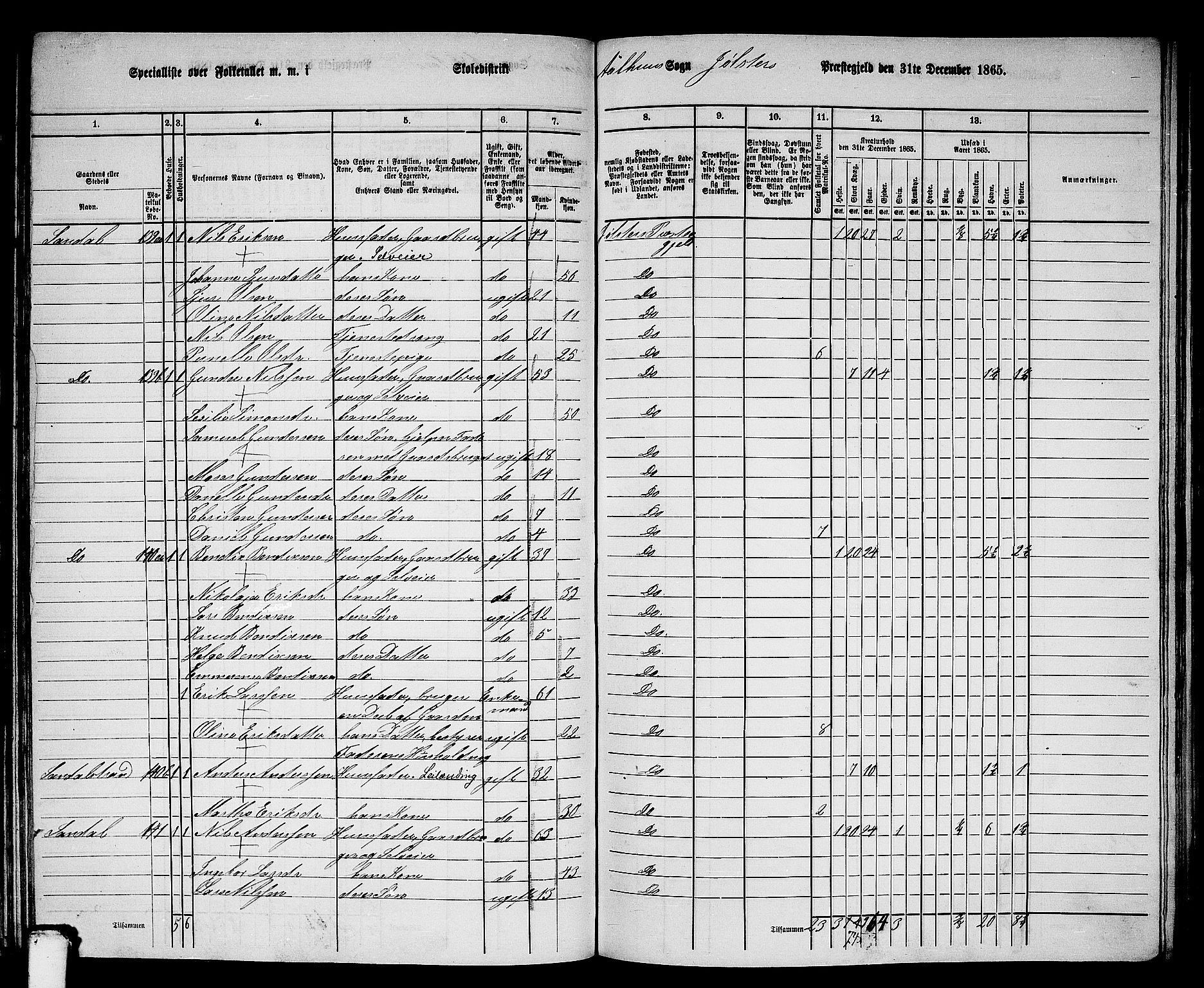 RA, Folketelling 1865 for 1431P Jølster prestegjeld, 1865, s. 74