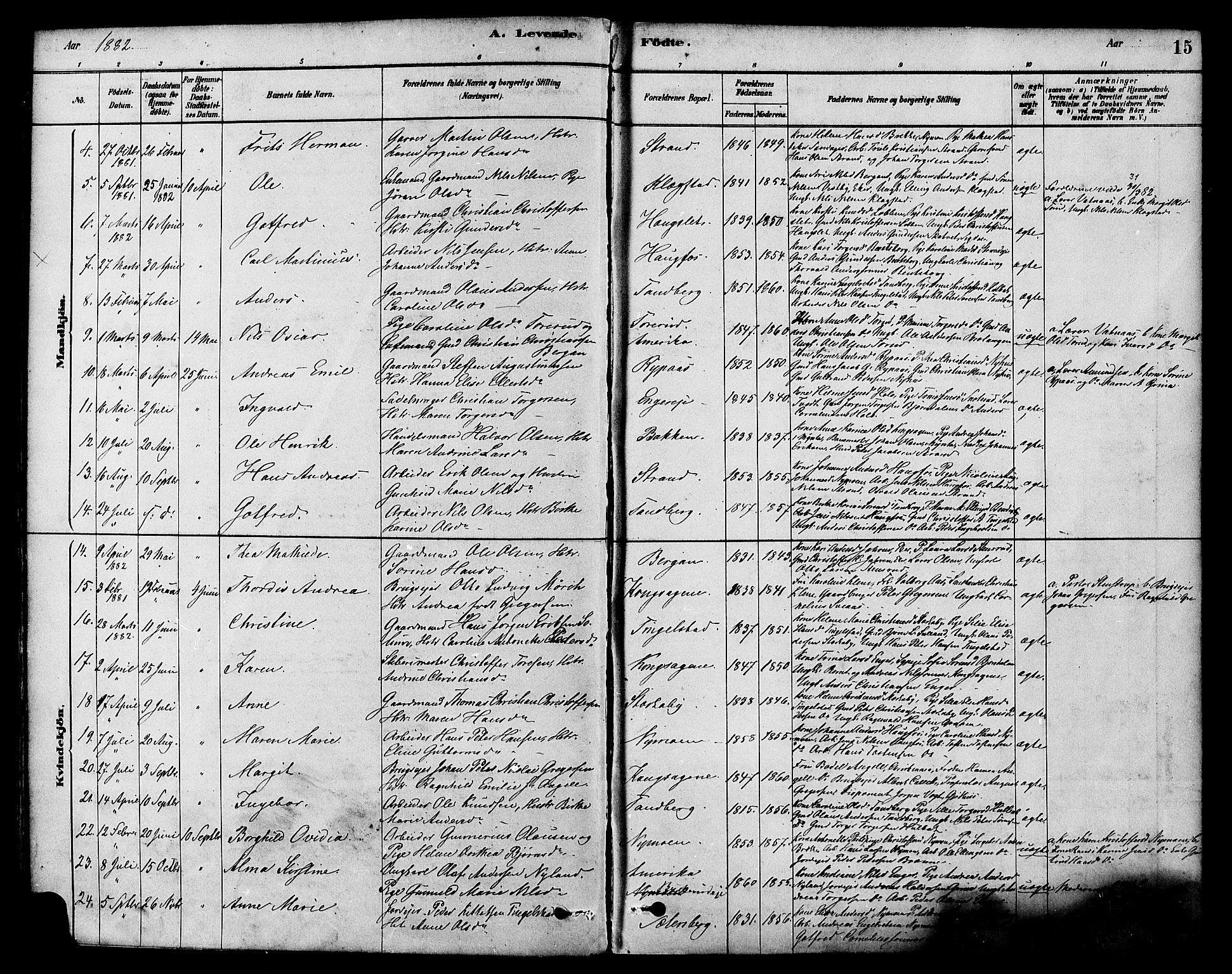 Modum kirkebøker, AV/SAKO-A-234/F/Fa/L0015: Ministerialbok nr. 15 /1, 1877-1889, s. 15