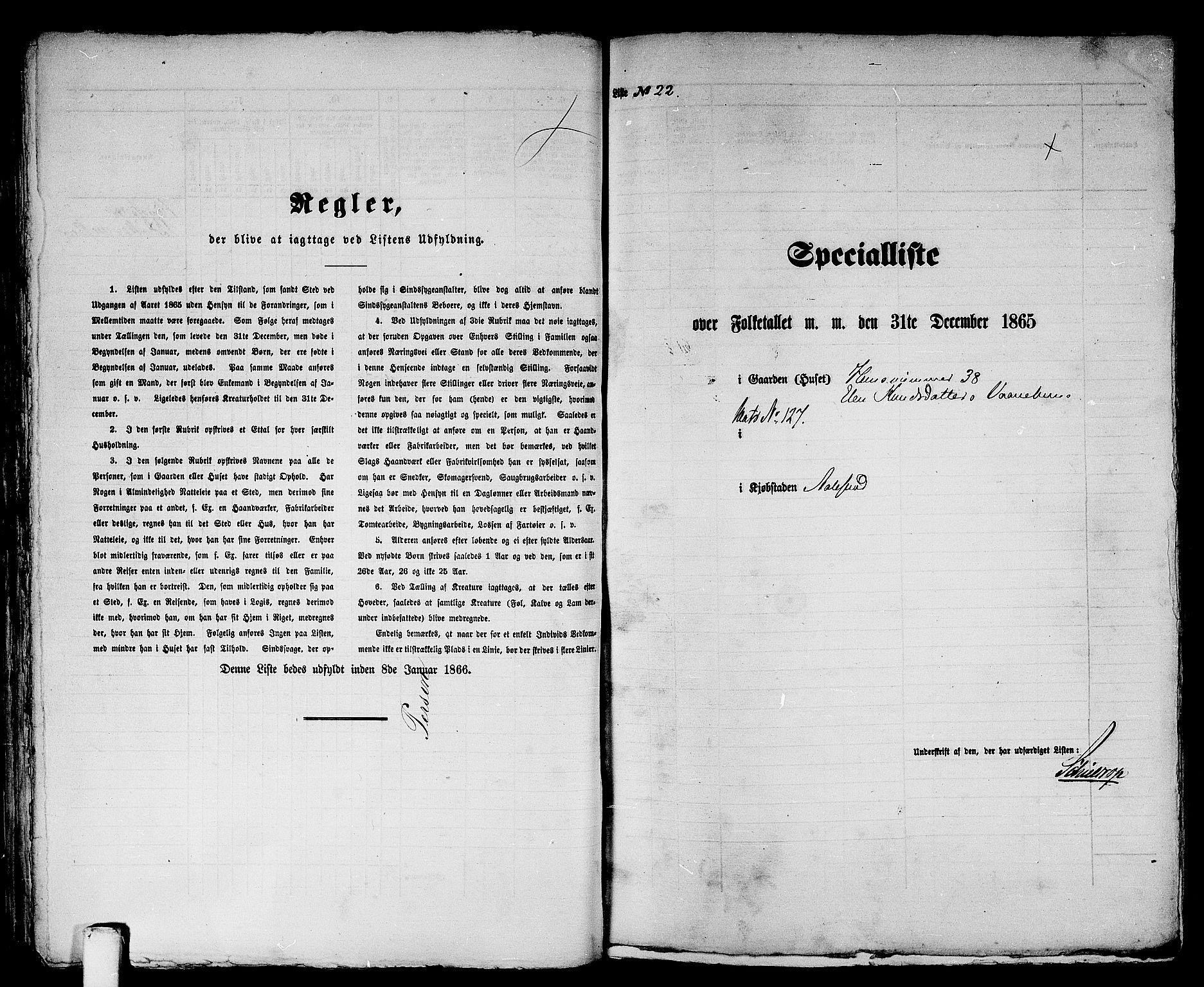 RA, Folketelling 1865 for 1501P Ålesund prestegjeld, 1865, s. 50