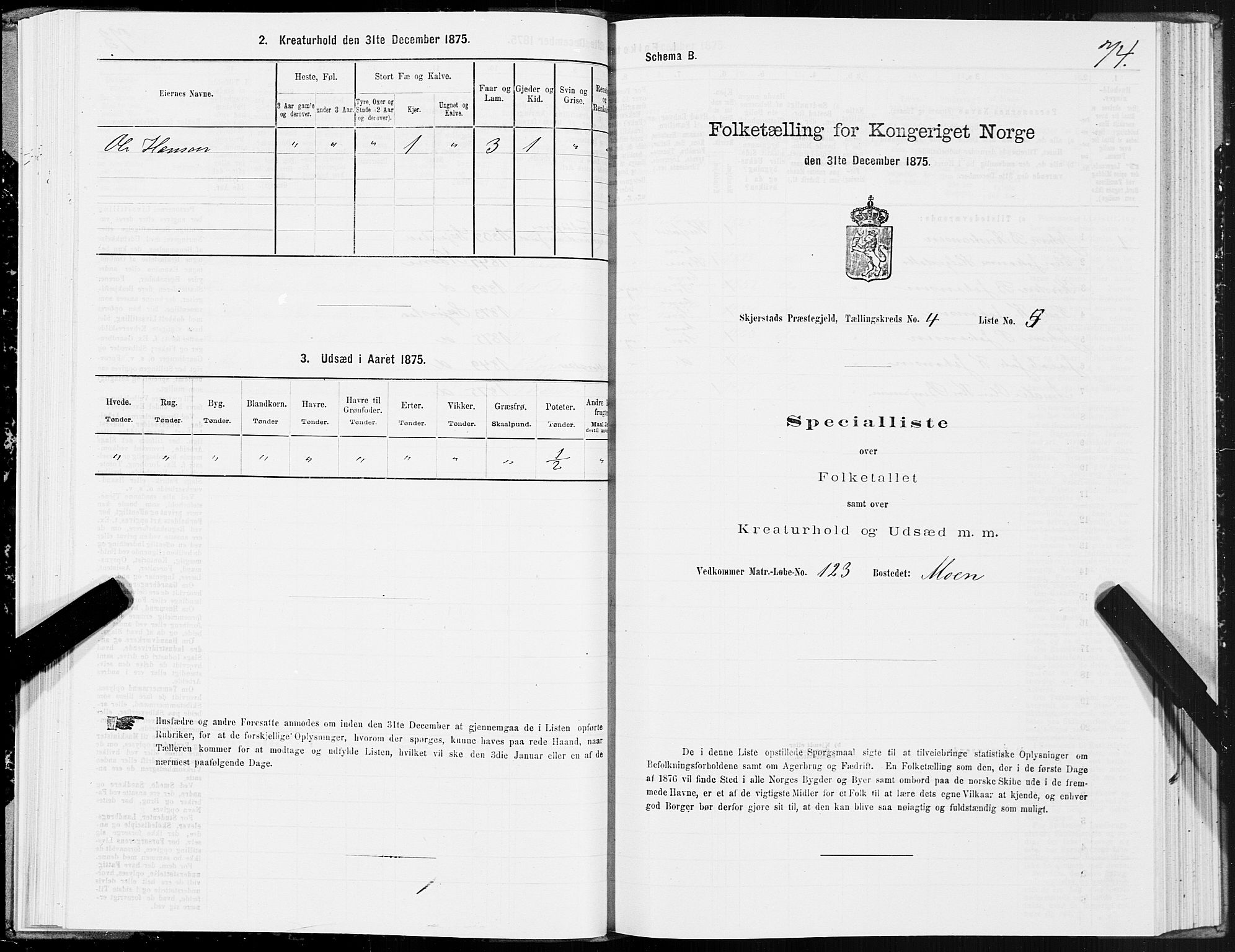 SAT, Folketelling 1875 for 1842P Skjerstad prestegjeld, 1875, s. 2074