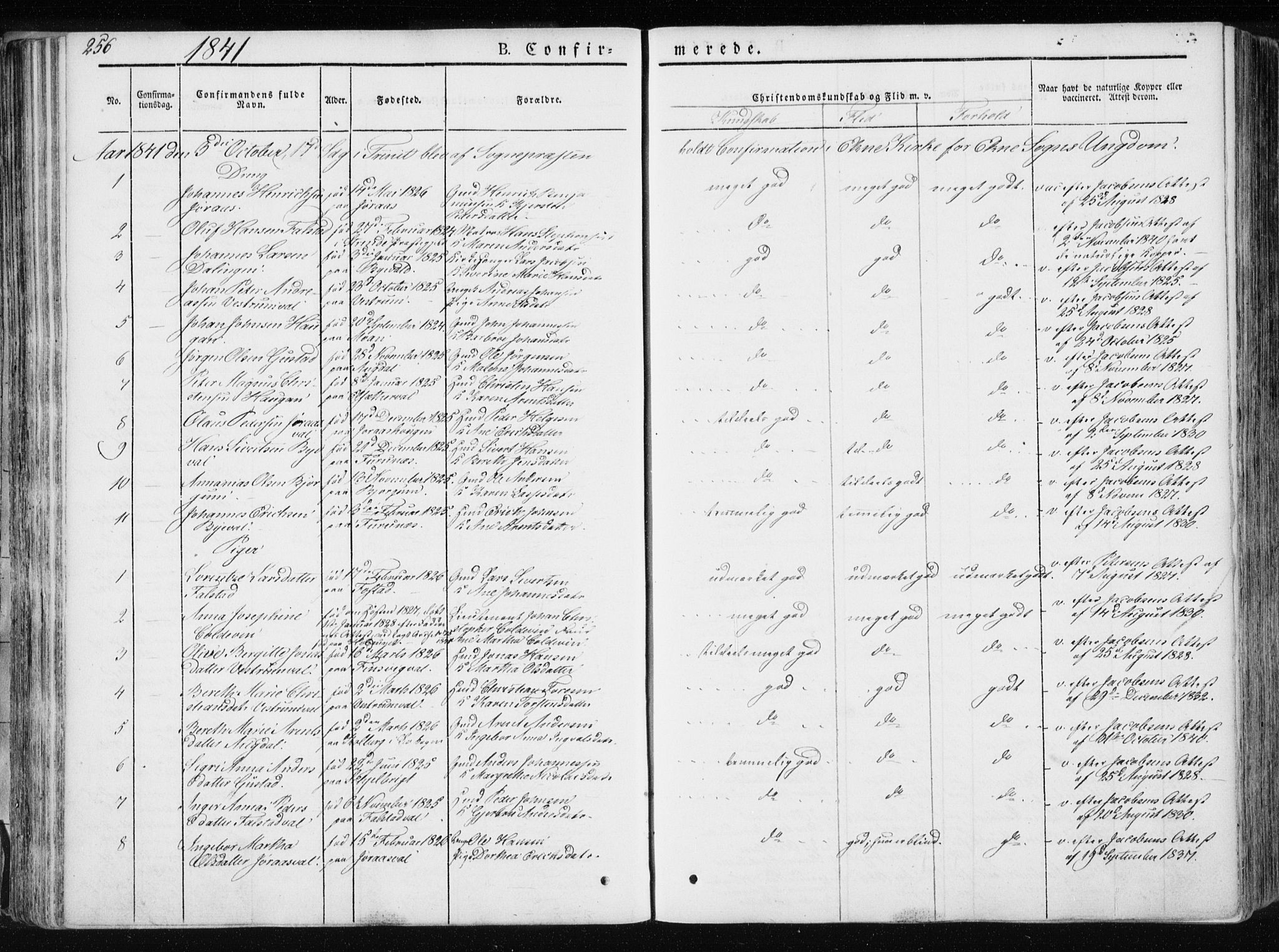 Ministerialprotokoller, klokkerbøker og fødselsregistre - Nord-Trøndelag, SAT/A-1458/717/L0154: Ministerialbok nr. 717A06 /1, 1836-1849, s. 256
