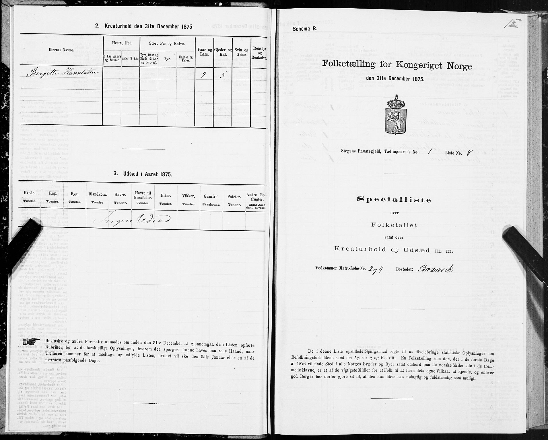 SAT, Folketelling 1875 for 1848P Steigen prestegjeld, 1875, s. 1015