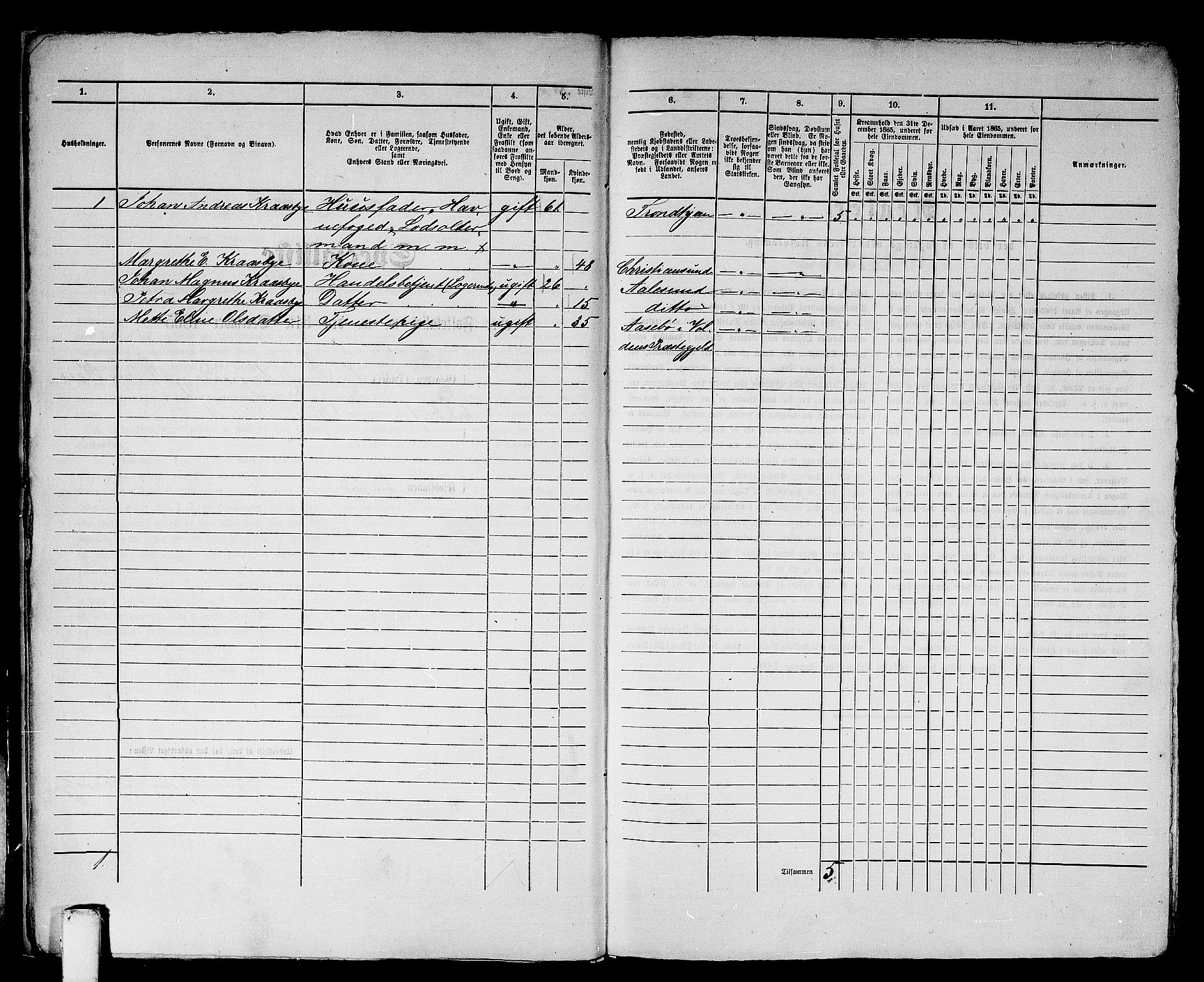 RA, Folketelling 1865 for 1501P Ålesund prestegjeld, 1865, s. 19