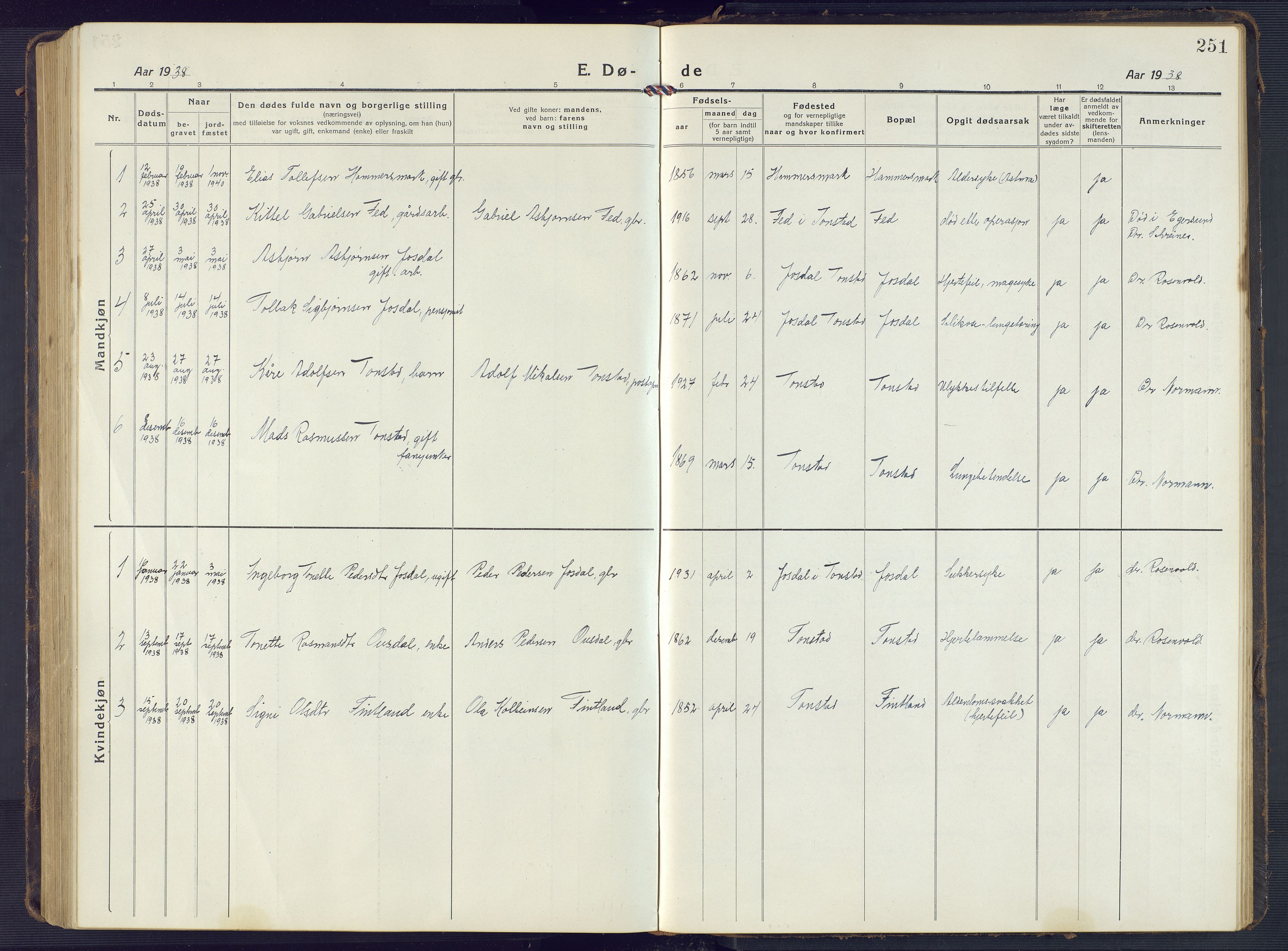 Sirdal sokneprestkontor, AV/SAK-1111-0036/F/Fb/Fbb/L0005: Klokkerbok nr. B 5, 1916-1960, s. 251