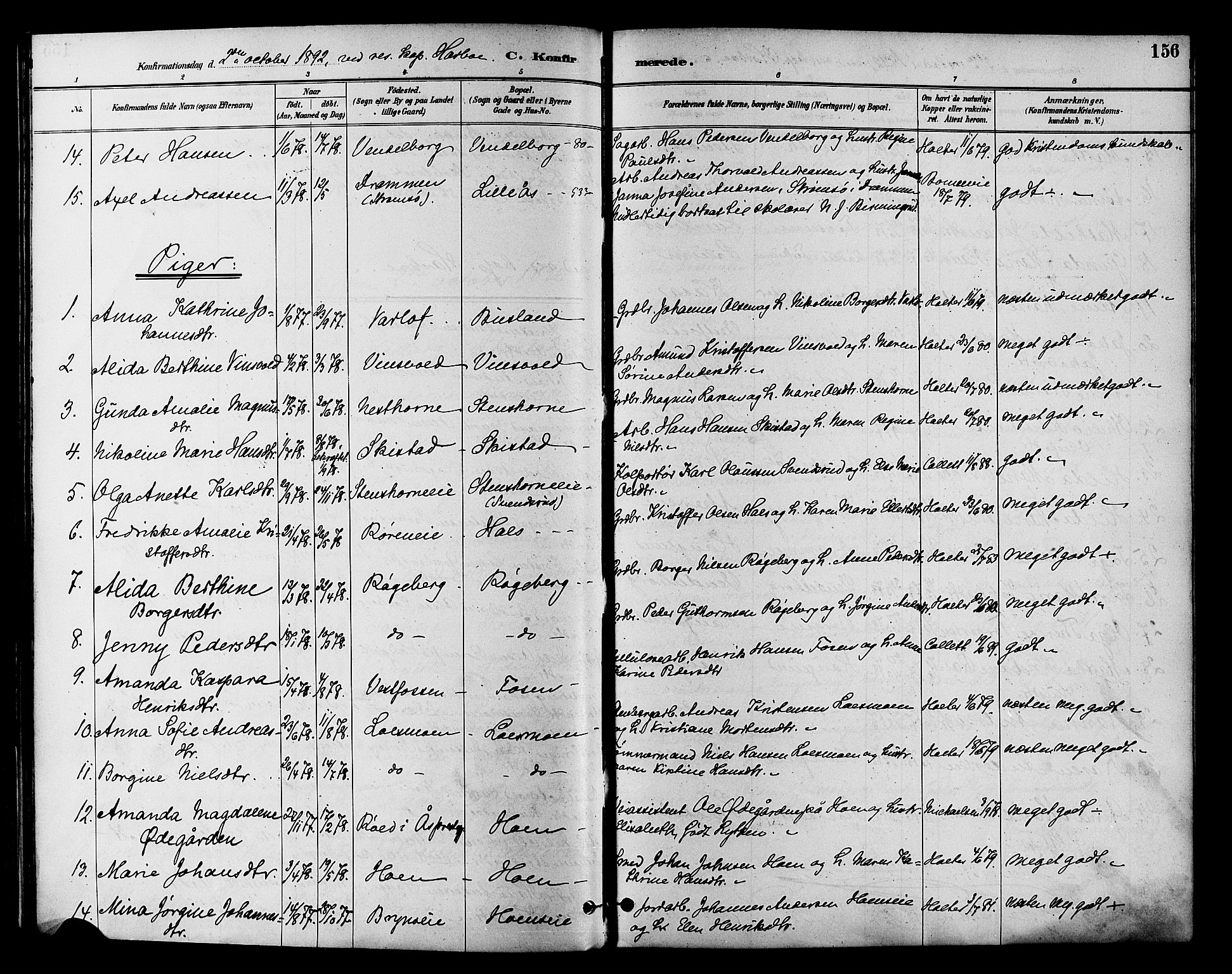 Eiker kirkebøker, AV/SAKO-A-4/F/Fb/L0002: Ministerialbok nr. II 2, 1889-1896, s. 156