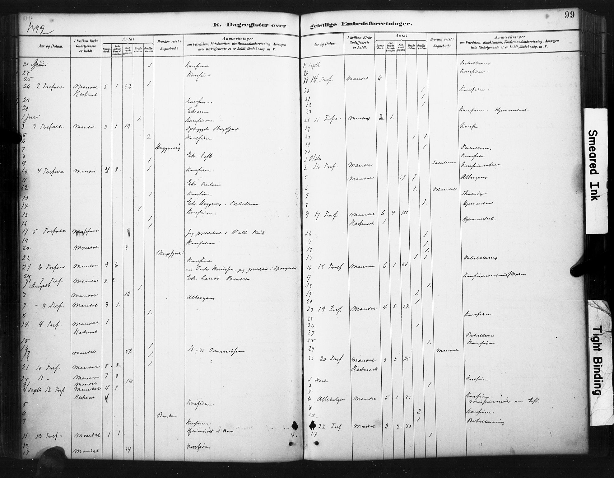 Mandal sokneprestkontor, SAK/1111-0030/F/Fa/Faa/L0017: Ministerialbok nr. A 17, 1880-1926, s. 99