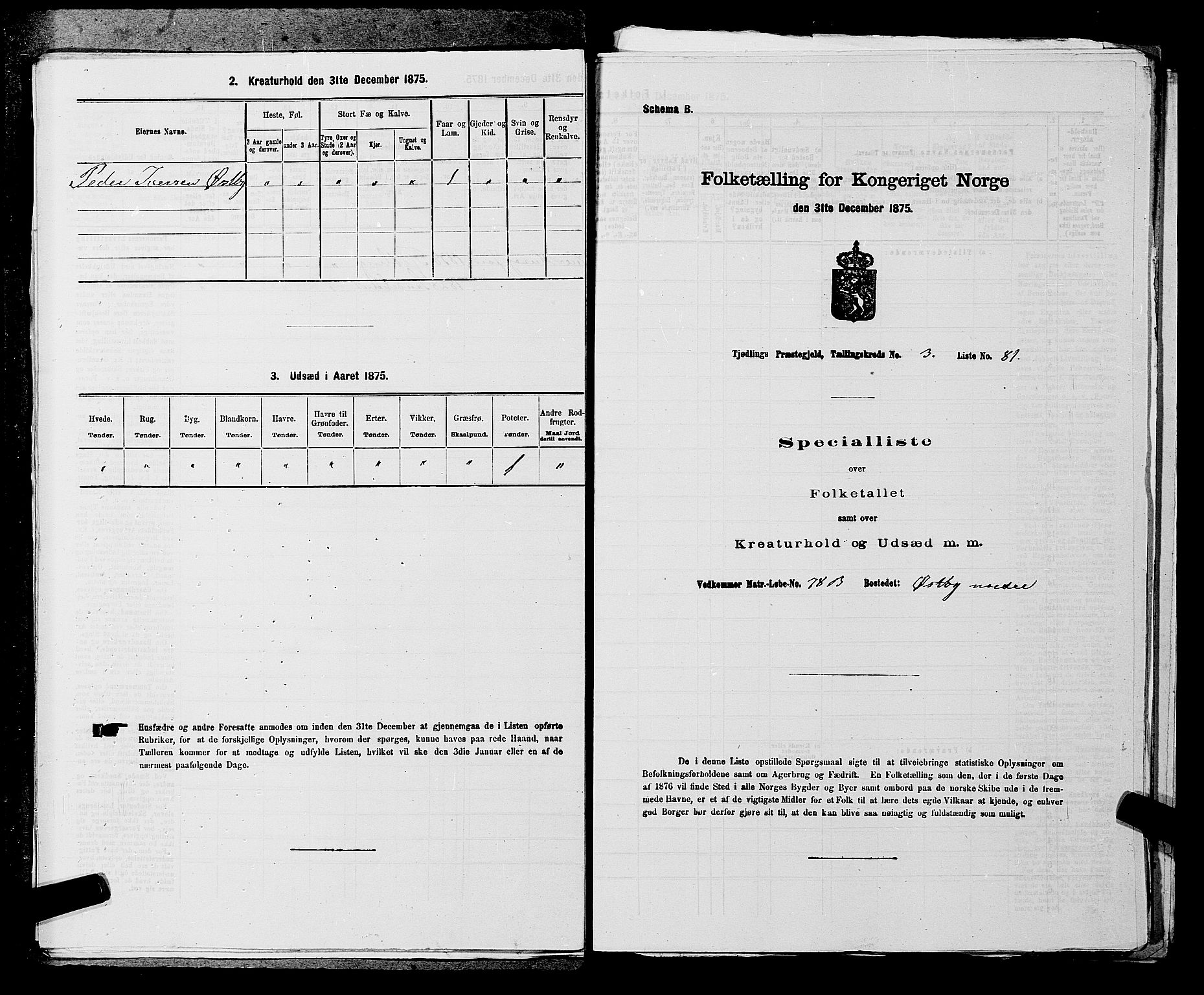 SAKO, Folketelling 1875 for 0725P Tjølling prestegjeld, 1875, s. 702