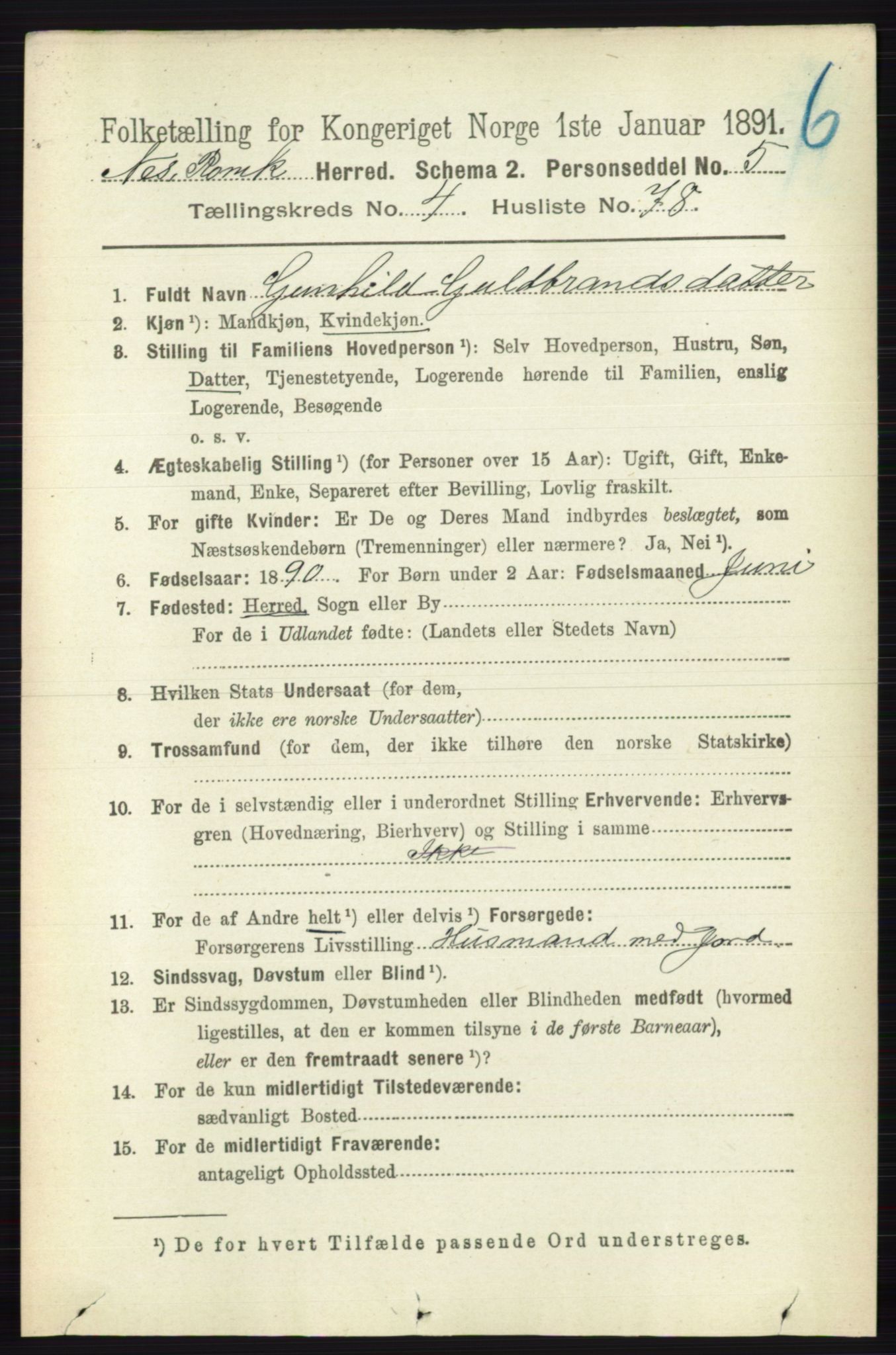 RA, Folketelling 1891 for 0236 Nes herred, 1891, s. 2684