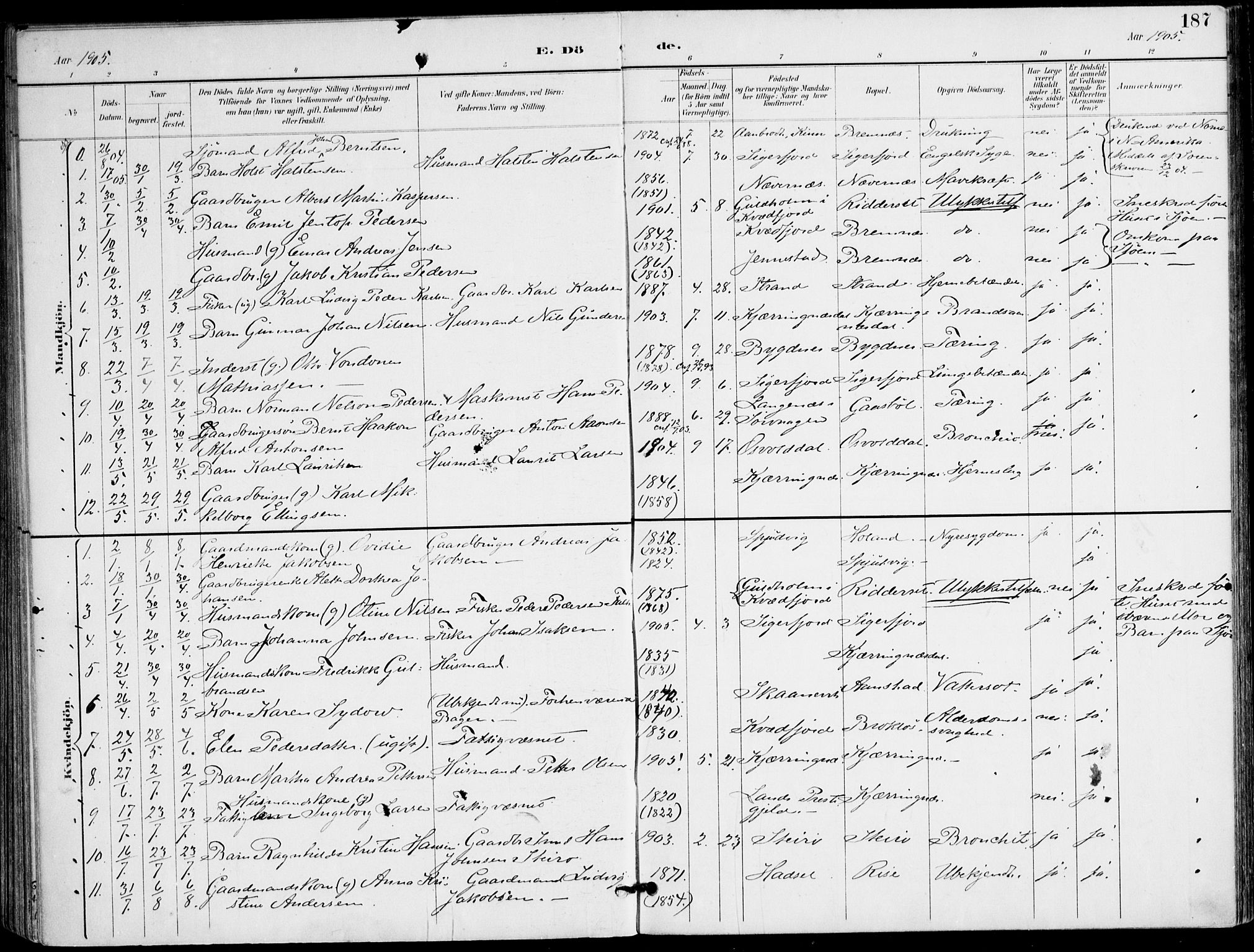 Ministerialprotokoller, klokkerbøker og fødselsregistre - Nordland, SAT/A-1459/895/L1372: Ministerialbok nr. 895A07, 1894-1914, s. 187