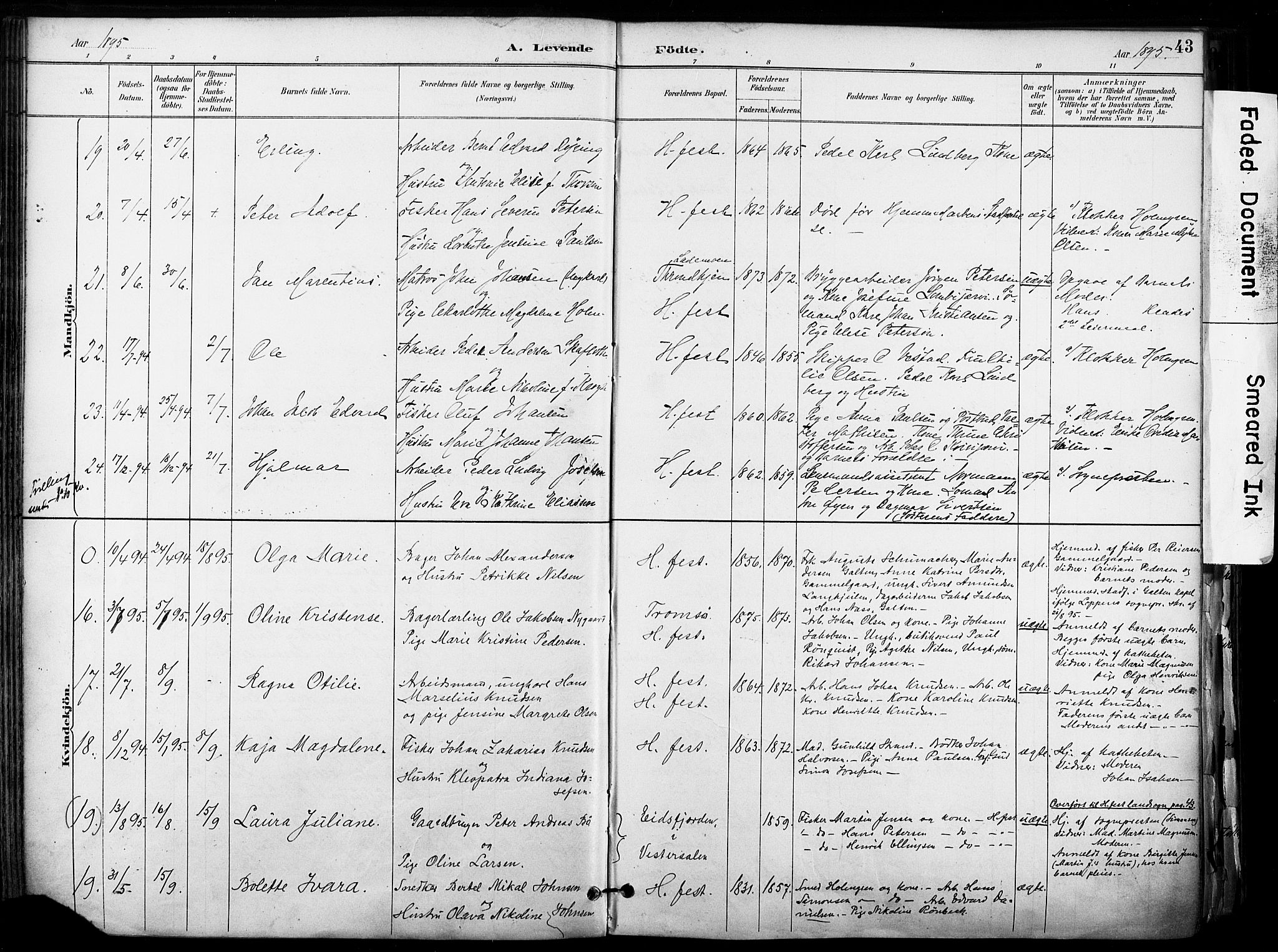 Hammerfest sokneprestkontor, AV/SATØ-S-1347/H/Ha/L0009.kirke: Ministerialbok nr. 9, 1889-1897, s. 43