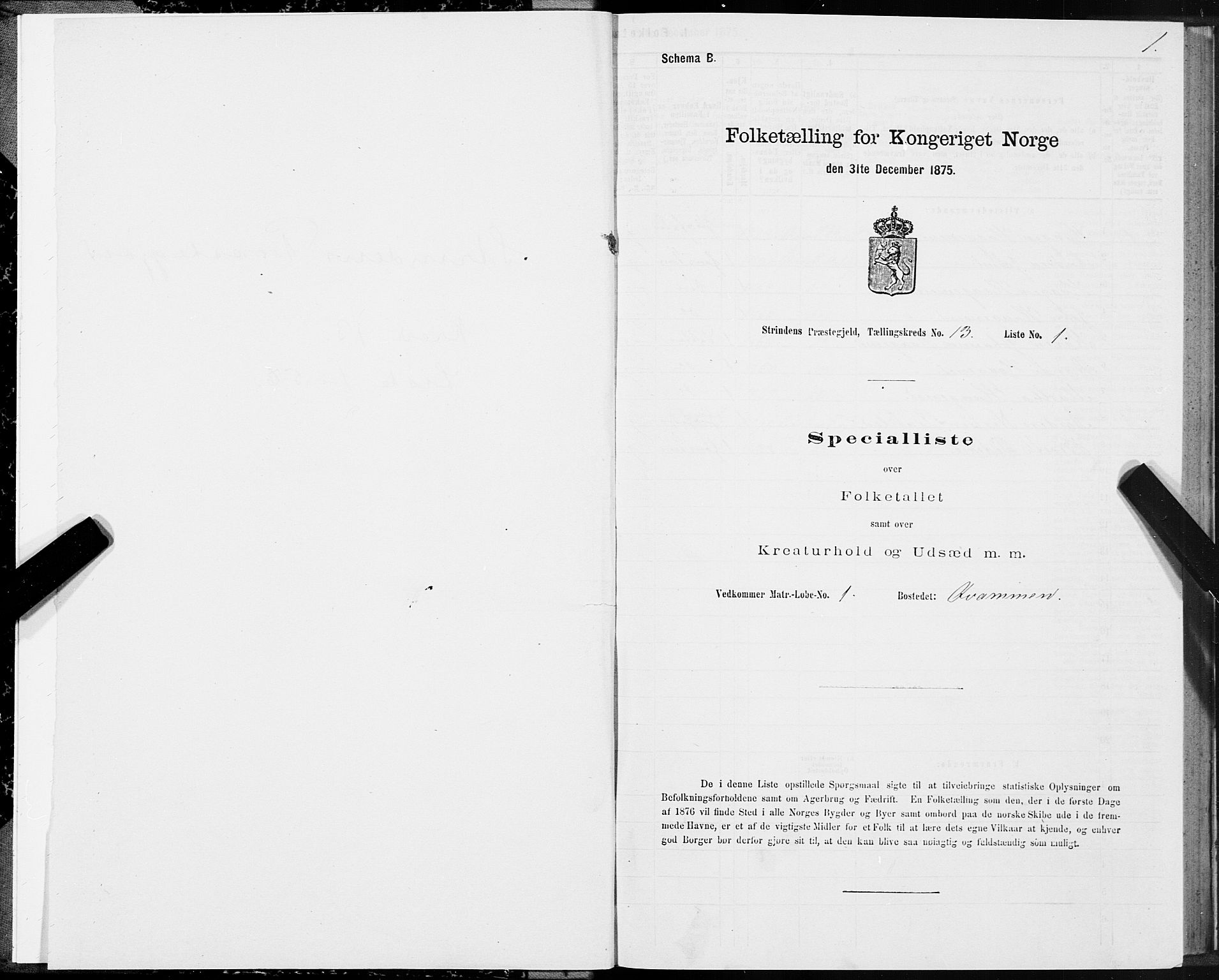 SAT, Folketelling 1875 for 1660P Strinda prestegjeld, 1875, s. 8001