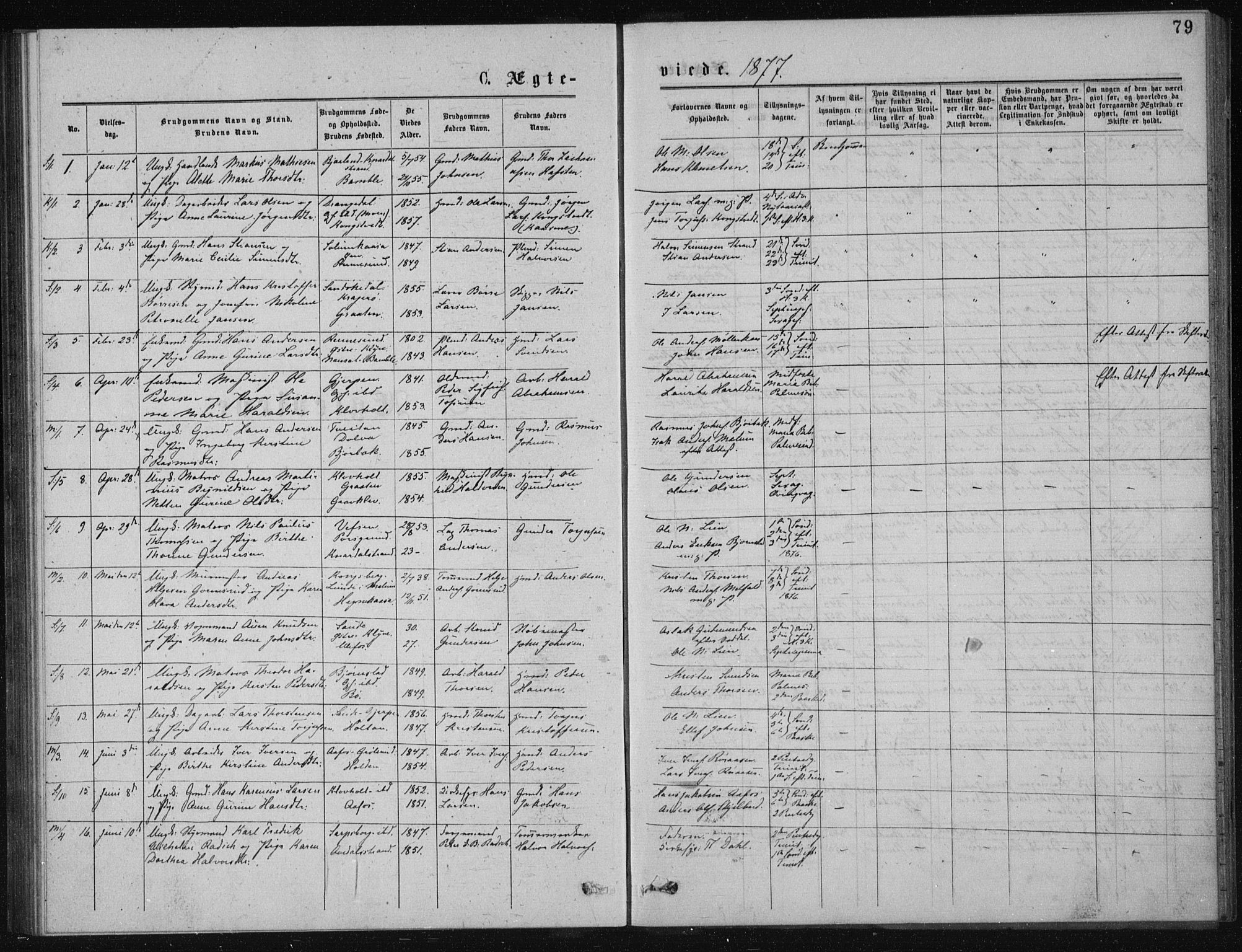 Solum kirkebøker, AV/SAKO-A-306/G/Ga/L0005: Klokkerbok nr. I 5, 1877-1881, s. 79