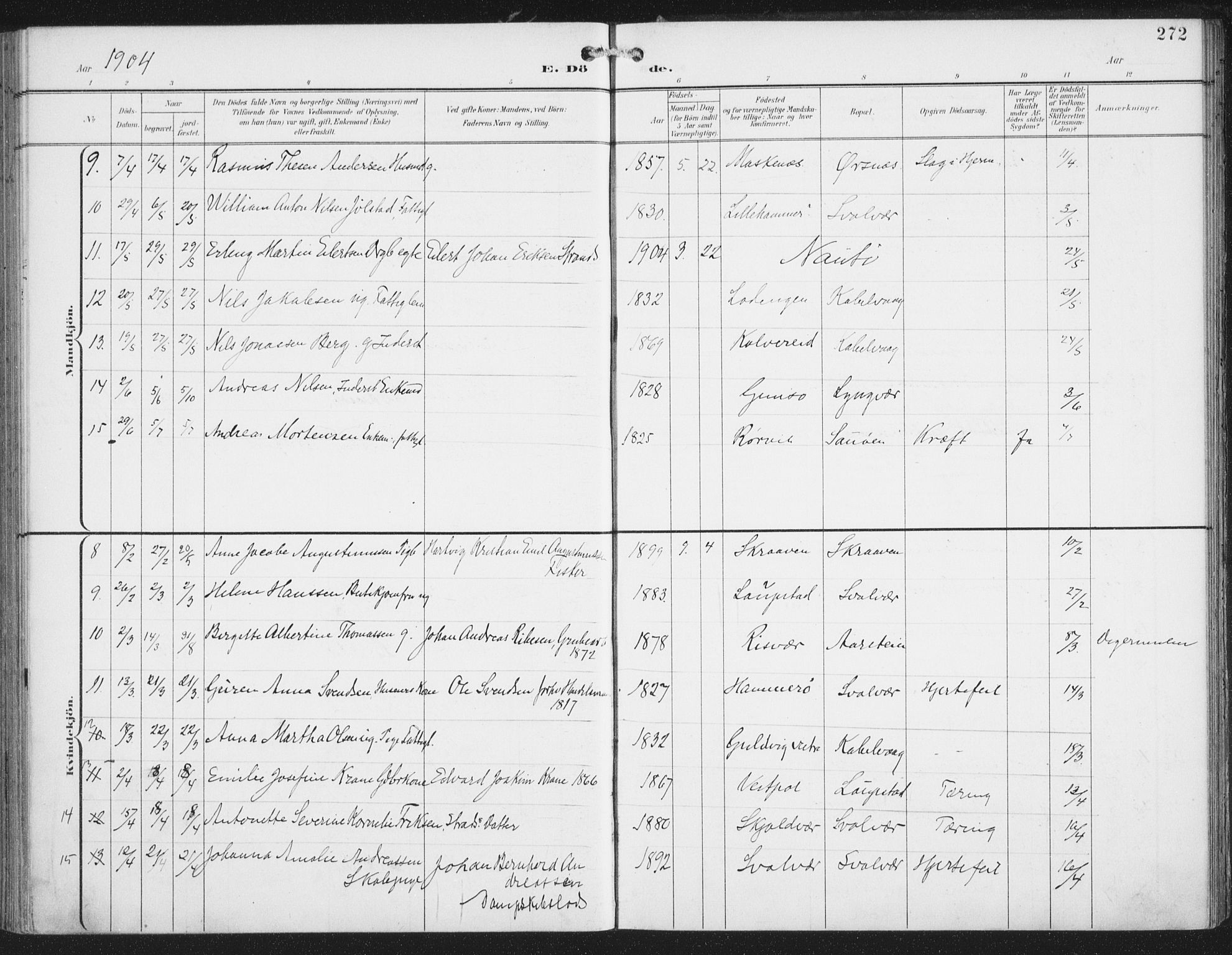 Ministerialprotokoller, klokkerbøker og fødselsregistre - Nordland, AV/SAT-A-1459/874/L1062: Ministerialbok nr. 874A06, 1899-1907, s. 272