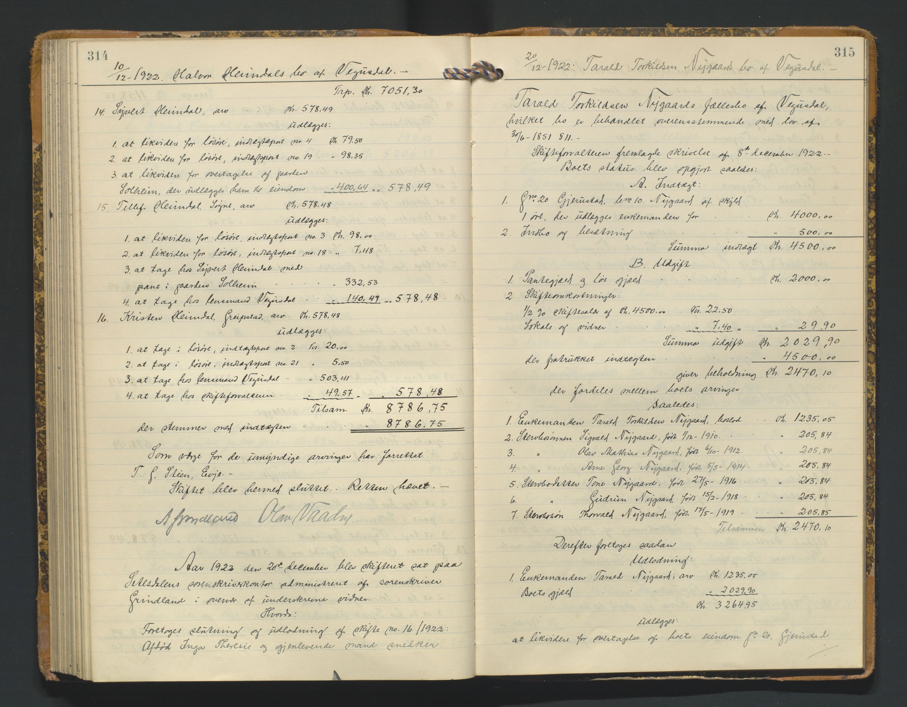 Setesdal sorenskriveri, AV/SAK-1221-0011/H/Hc/L0050: Skifteutlodningsprotokoll nr 4, med register, 1914-1924, s. 314-315