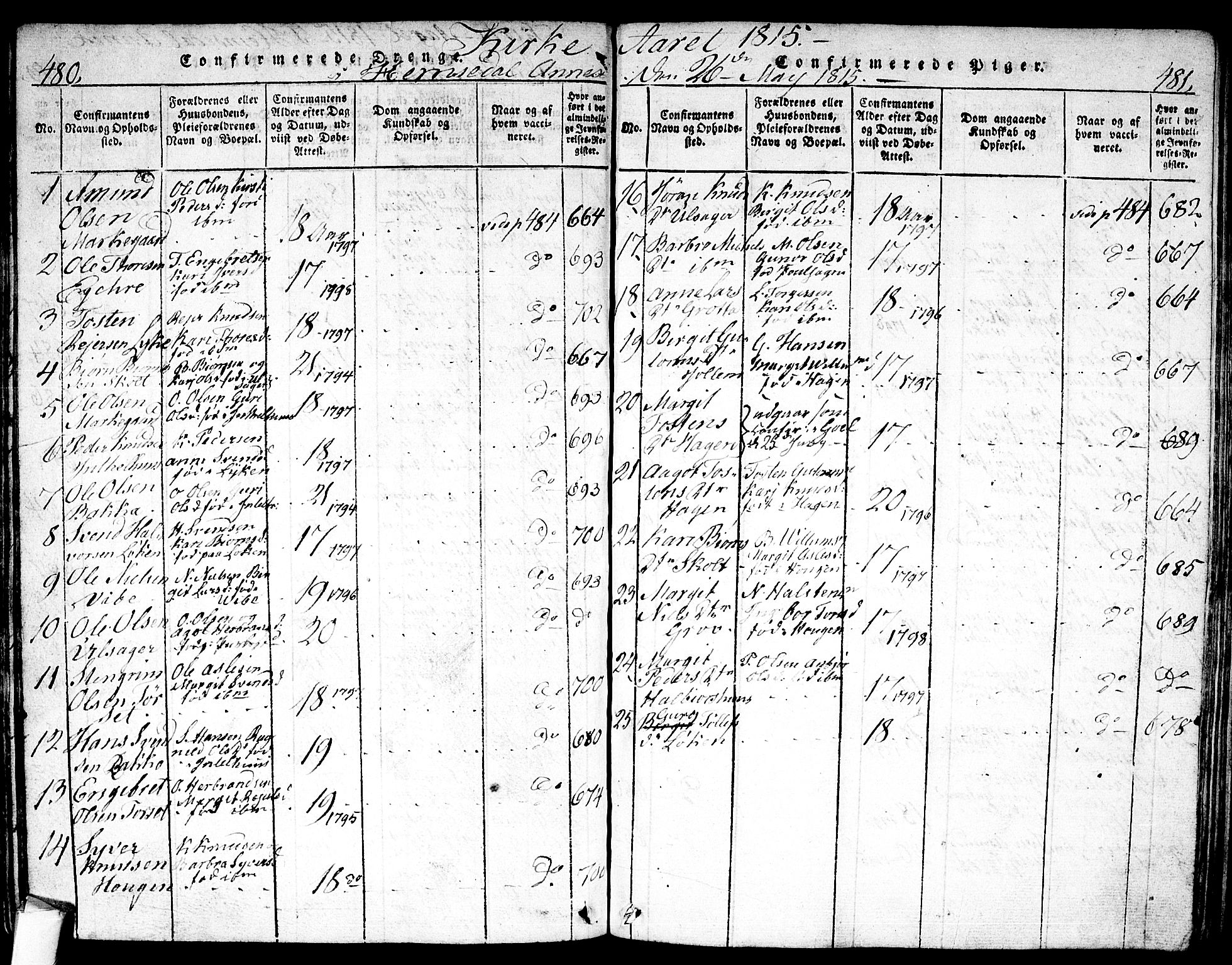 Nes kirkebøker, AV/SAKO-A-236/F/Fa/L0007: Ministerialbok nr. 7, 1815-1823, s. 480-481