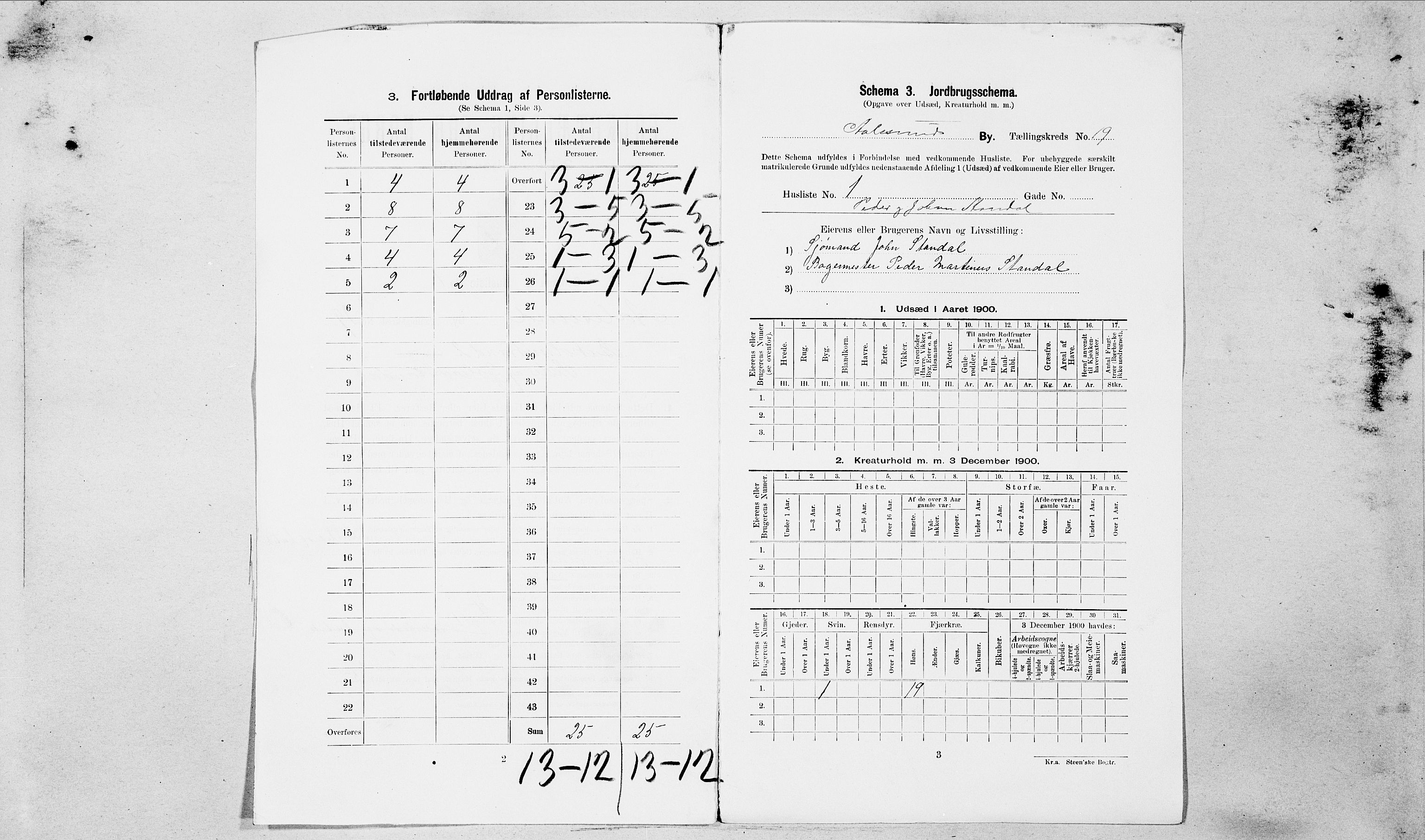 SAT, Folketelling 1900 for 1501 Ålesund kjøpstad, 1900, s. 4617