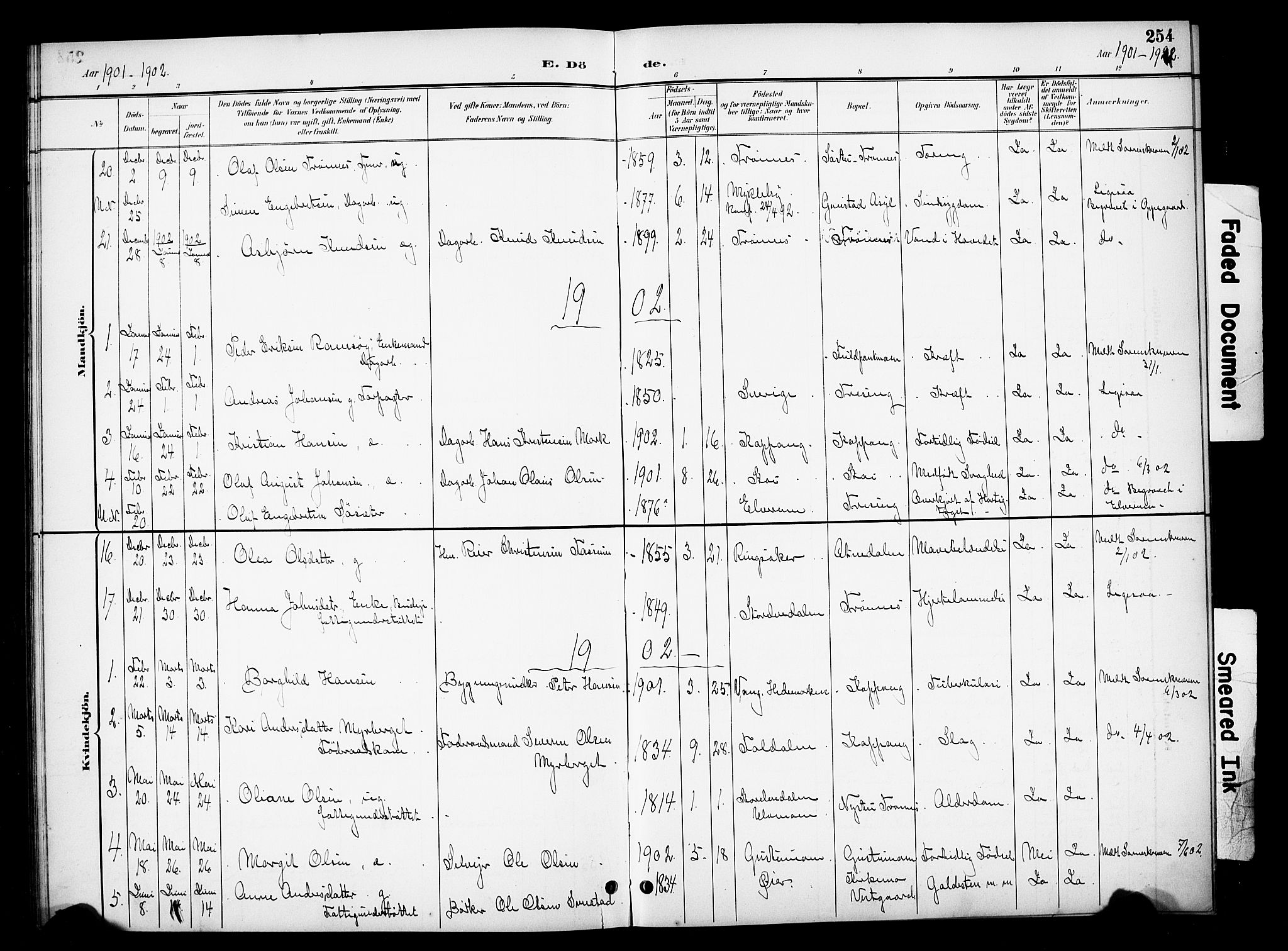 Stor-Elvdal prestekontor, AV/SAH-PREST-052/H/Ha/Hab/L0003: Klokkerbok nr. 3, 1895-1917, s. 254