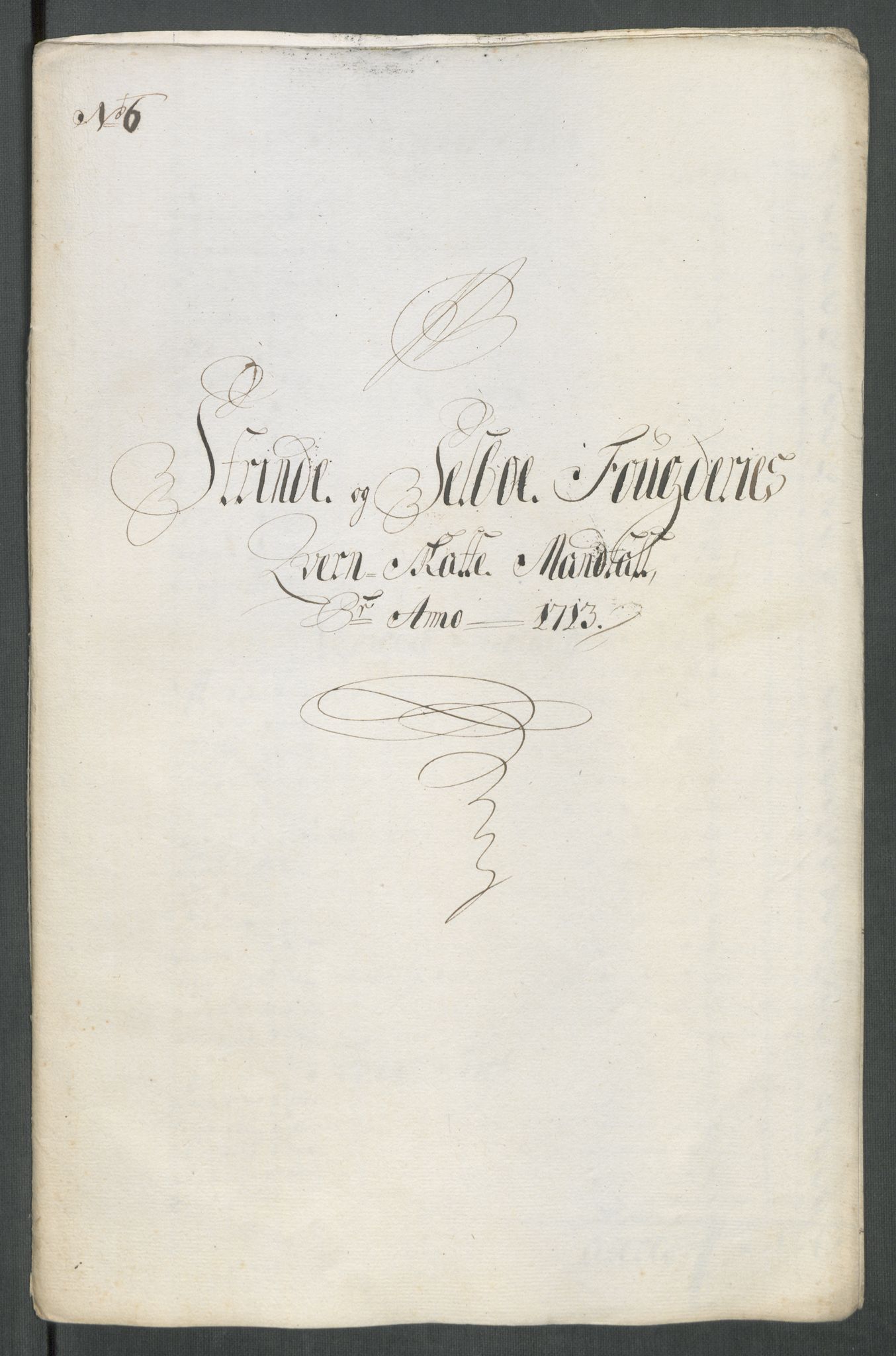 Rentekammeret inntil 1814, Reviderte regnskaper, Fogderegnskap, RA/EA-4092/R61/L4113: Fogderegnskap Strinda og Selbu, 1712-1713, s. 375