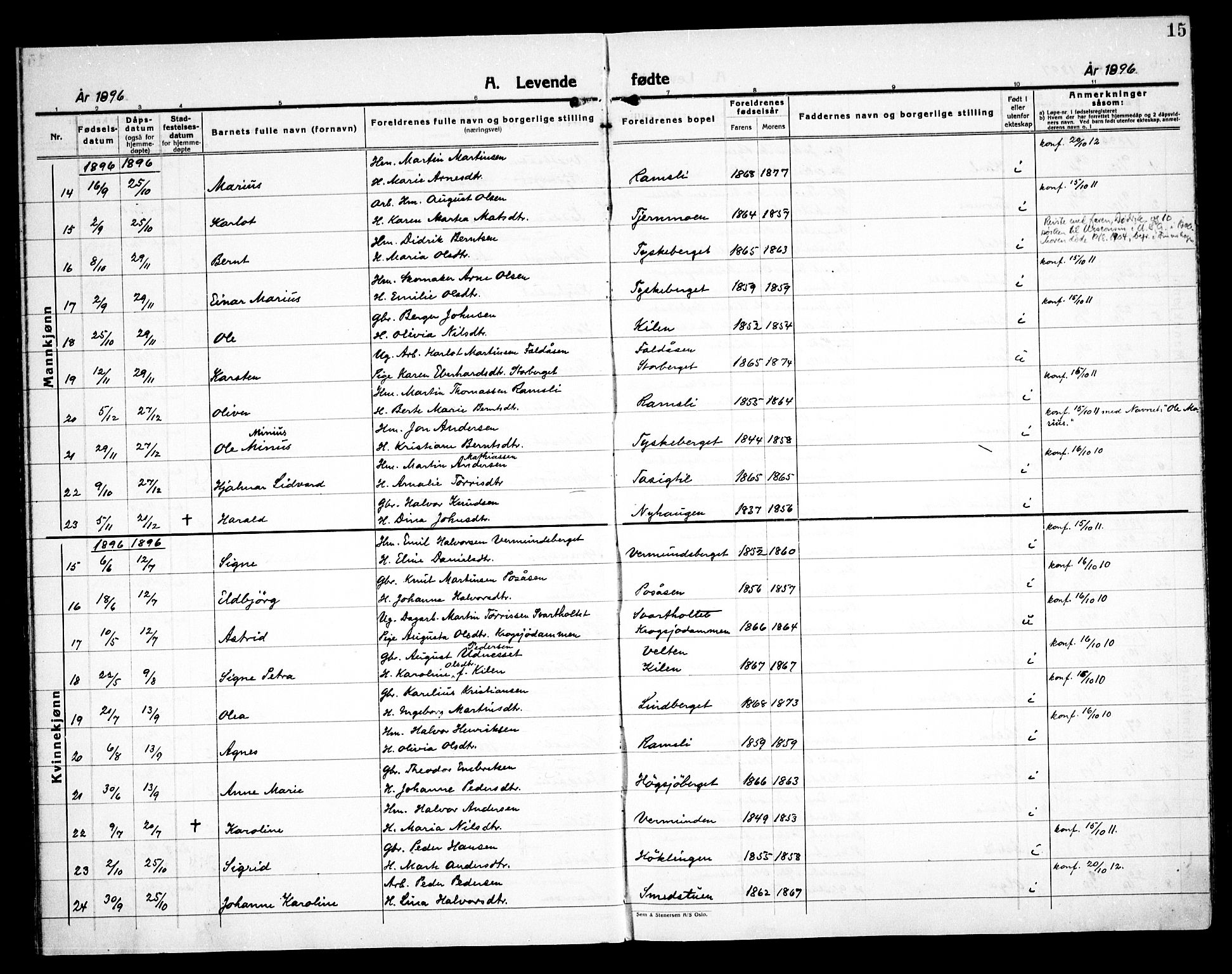 Åsnes prestekontor, AV/SAH-PREST-042/H/Ha/Haa/L0000E: Ministerialbok nr. 0C, 1890-1929, s. 15